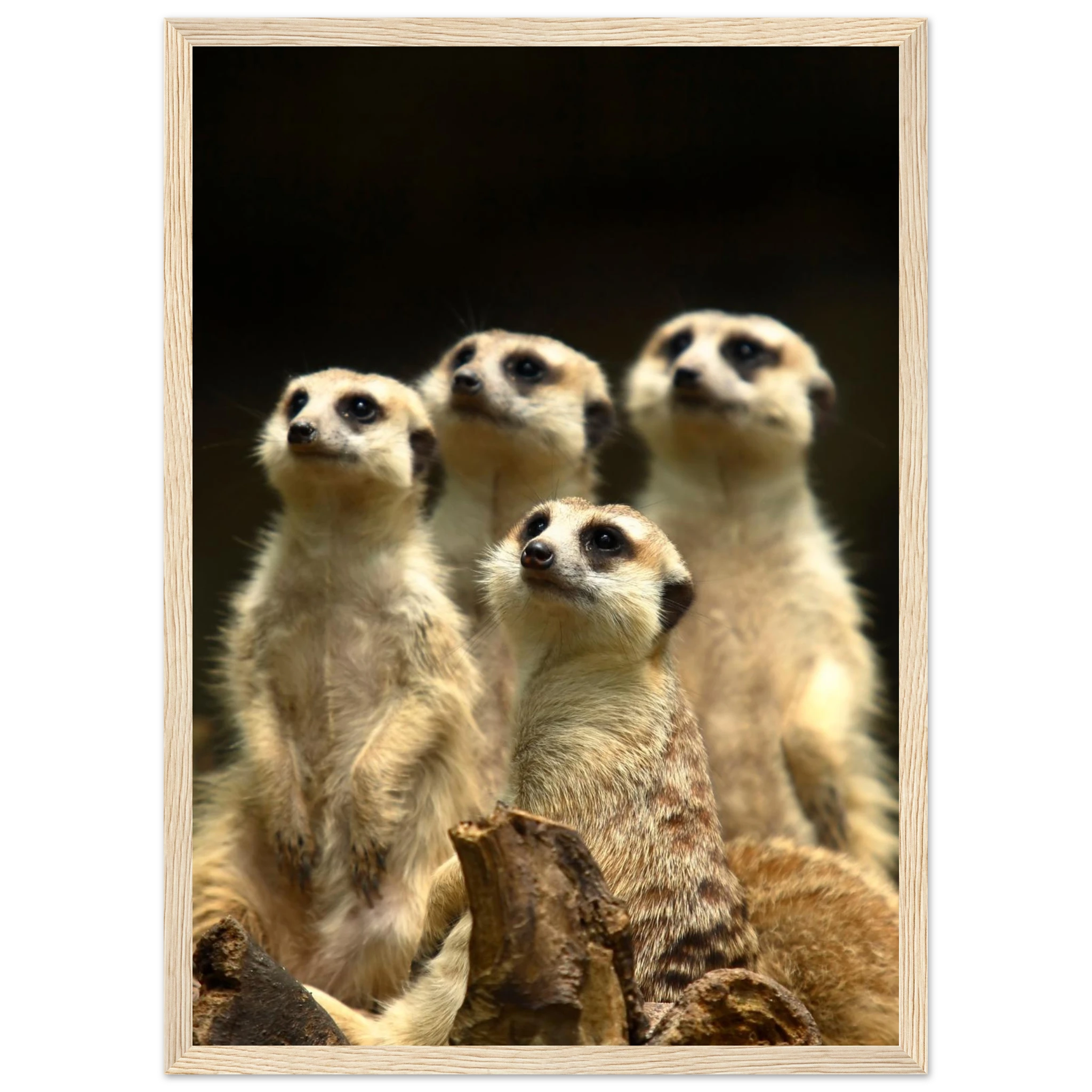 dec029c5-7c25-4986-a133-93b0389419b6