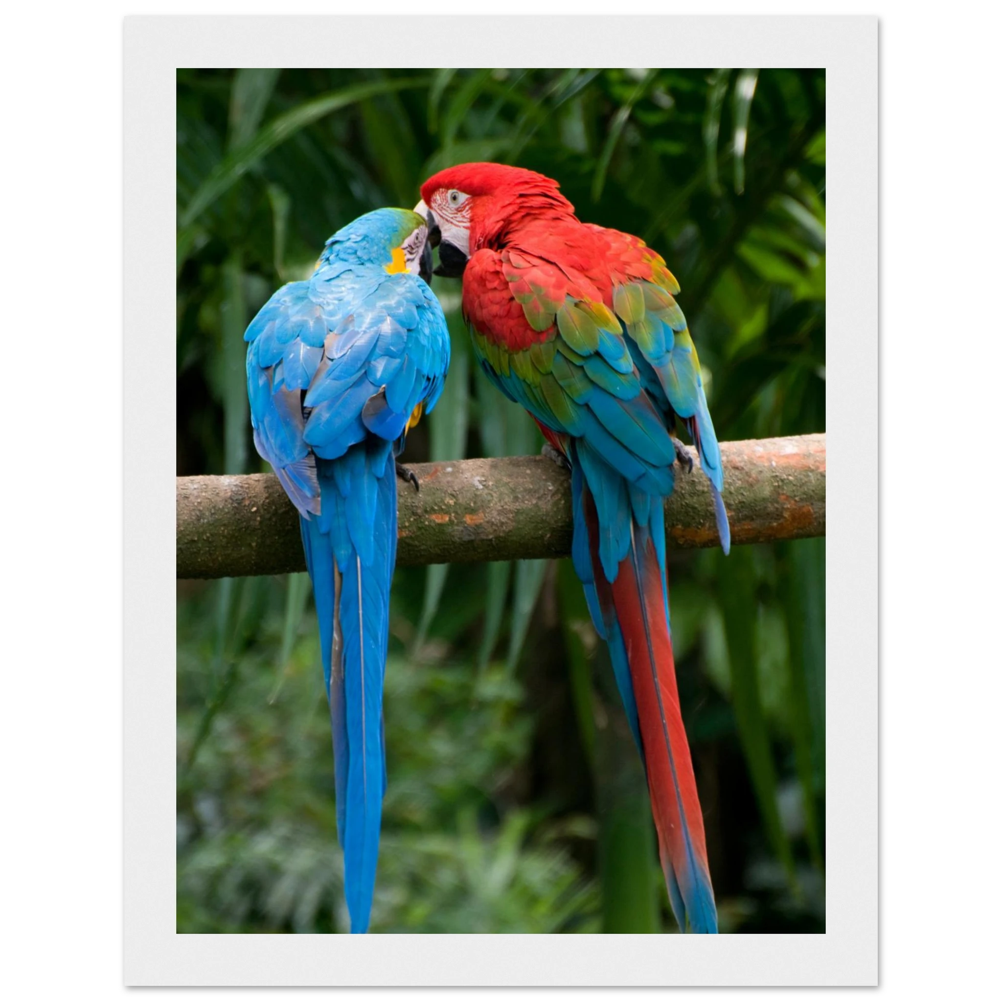 dec55555-26af-4a7d-bd4c-e09c338c95df