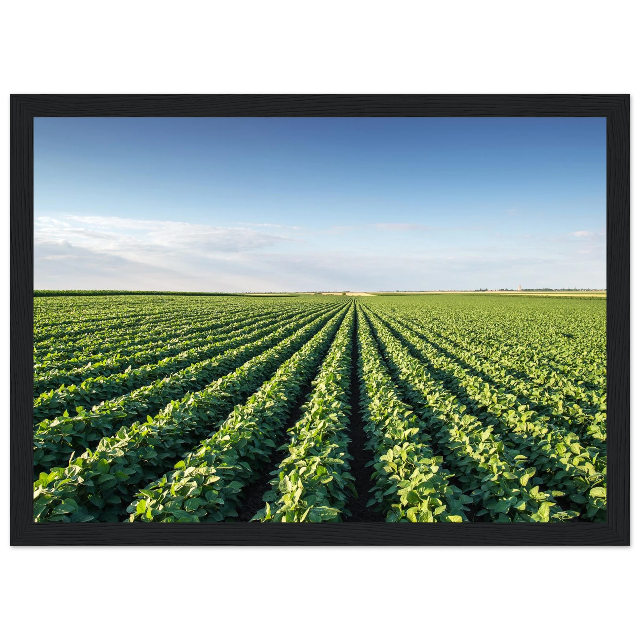 decf5040-7fe2-4353-be3a-5a327821a6f2