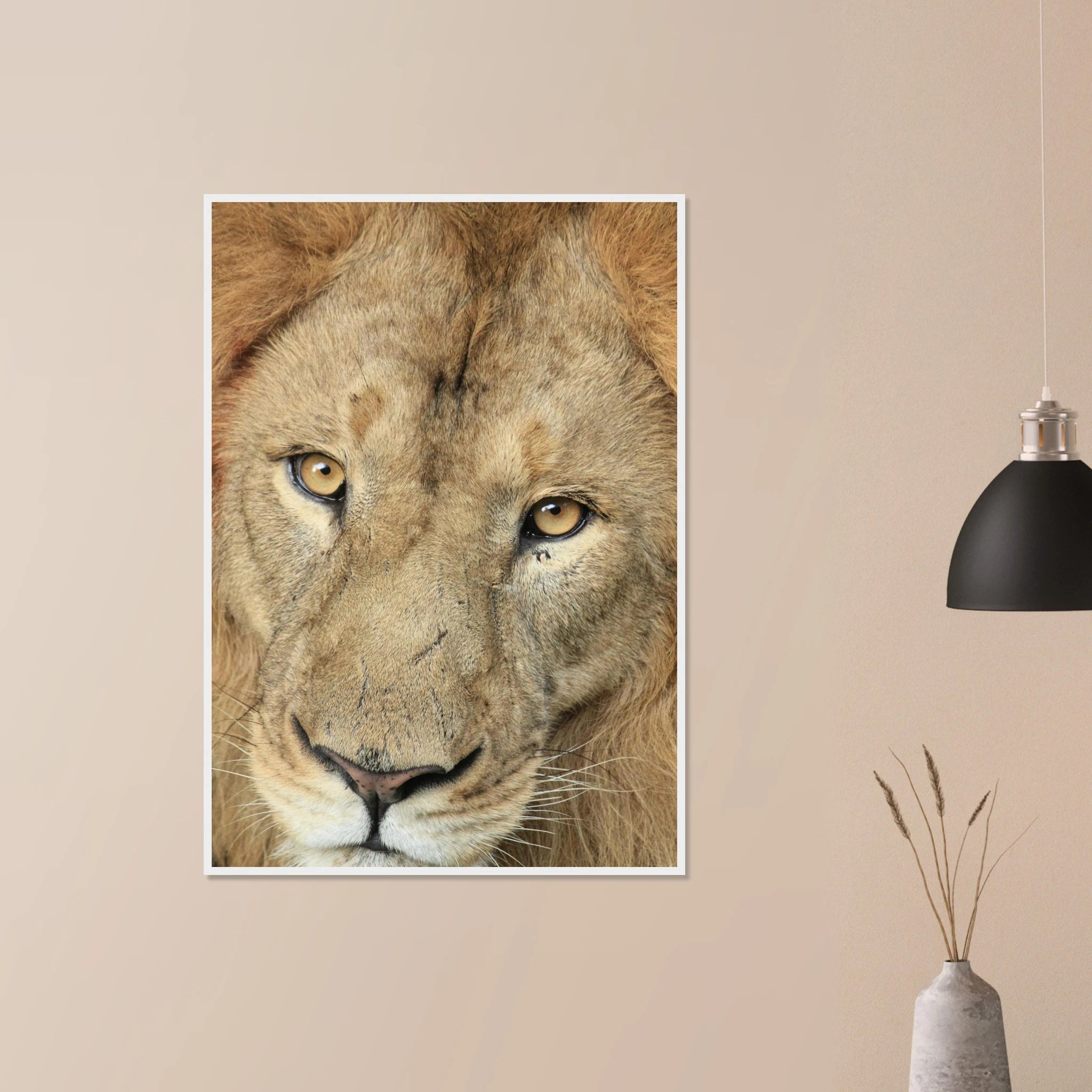 ded7b748-02be-4fdb-bb47-4ac4b81859b9