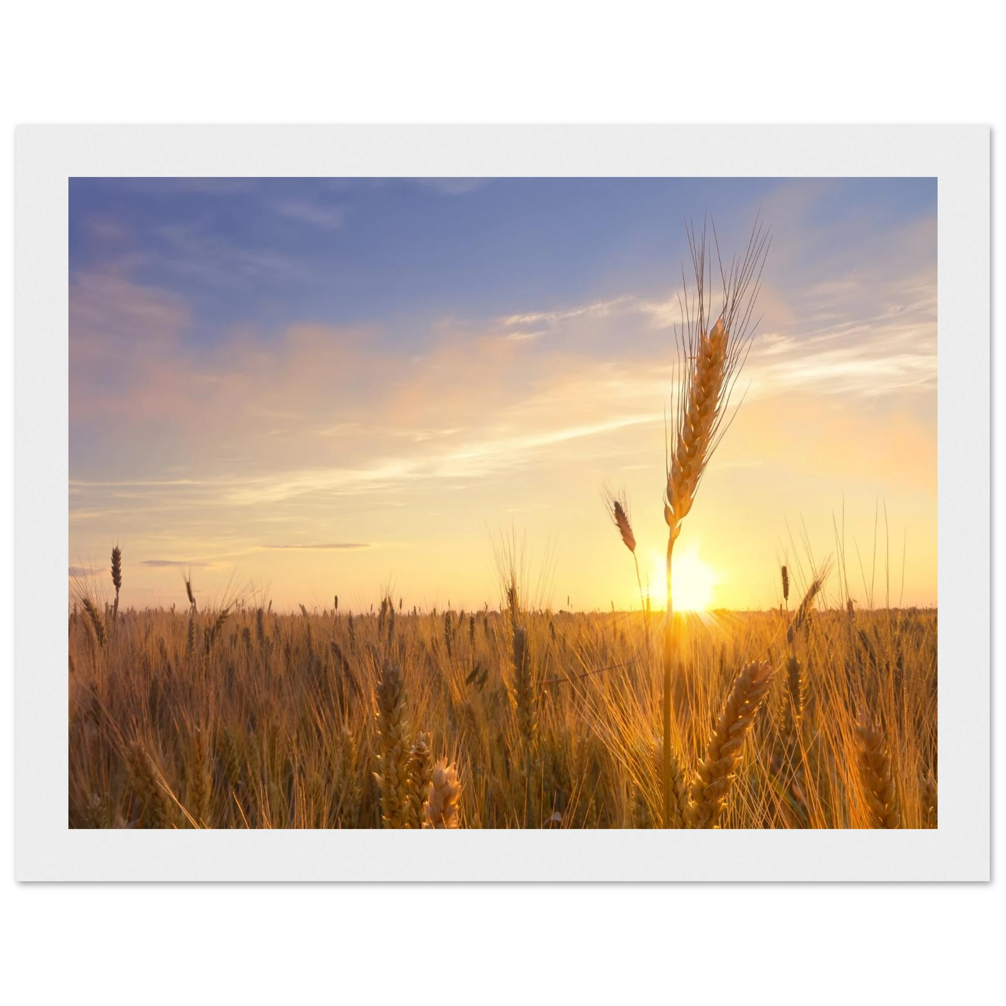 df0bc20f-fb57-4a53-81ce-3abf19f74b2a