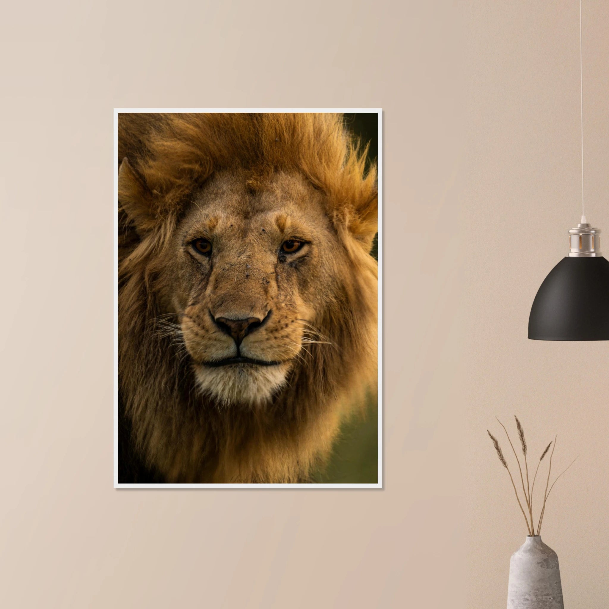 df0c6219-7543-4f54-bb49-f8fa94d091b0