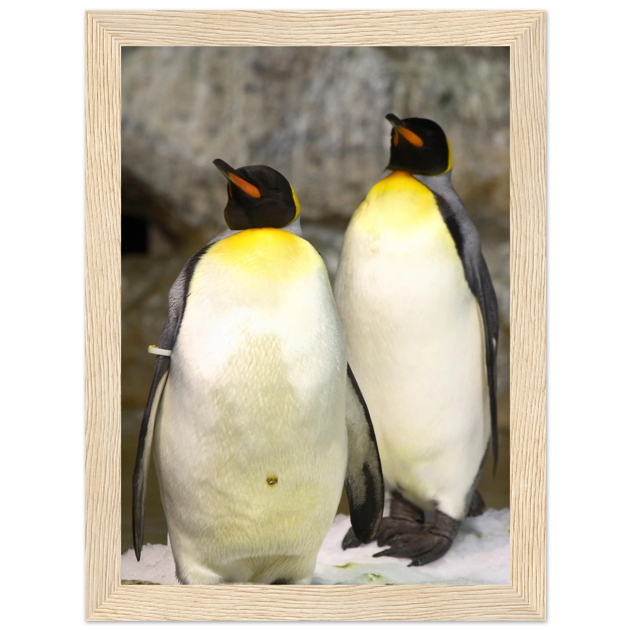 df18ea3b-59a3-4596-993b-e0edba1c8bef