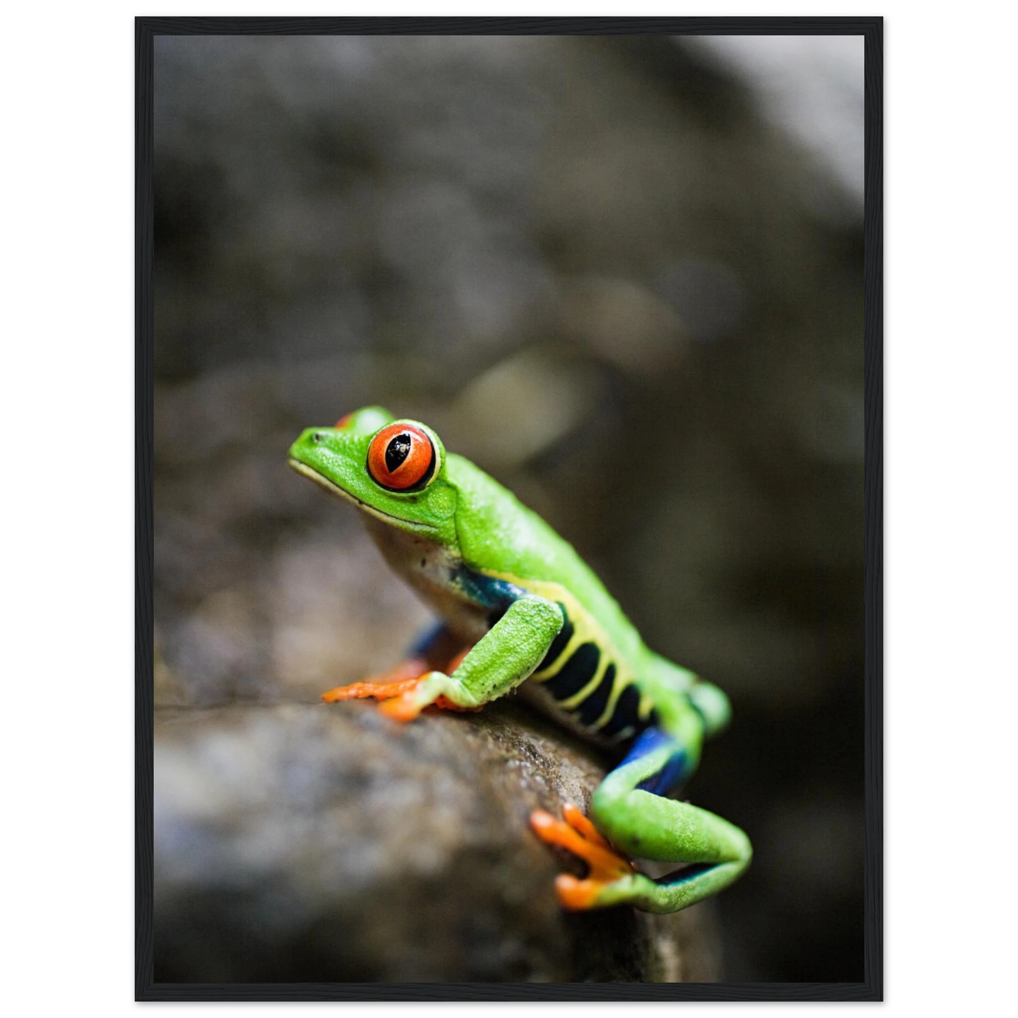 df1d4105-0fb4-48d3-8811-200e7a0e4214