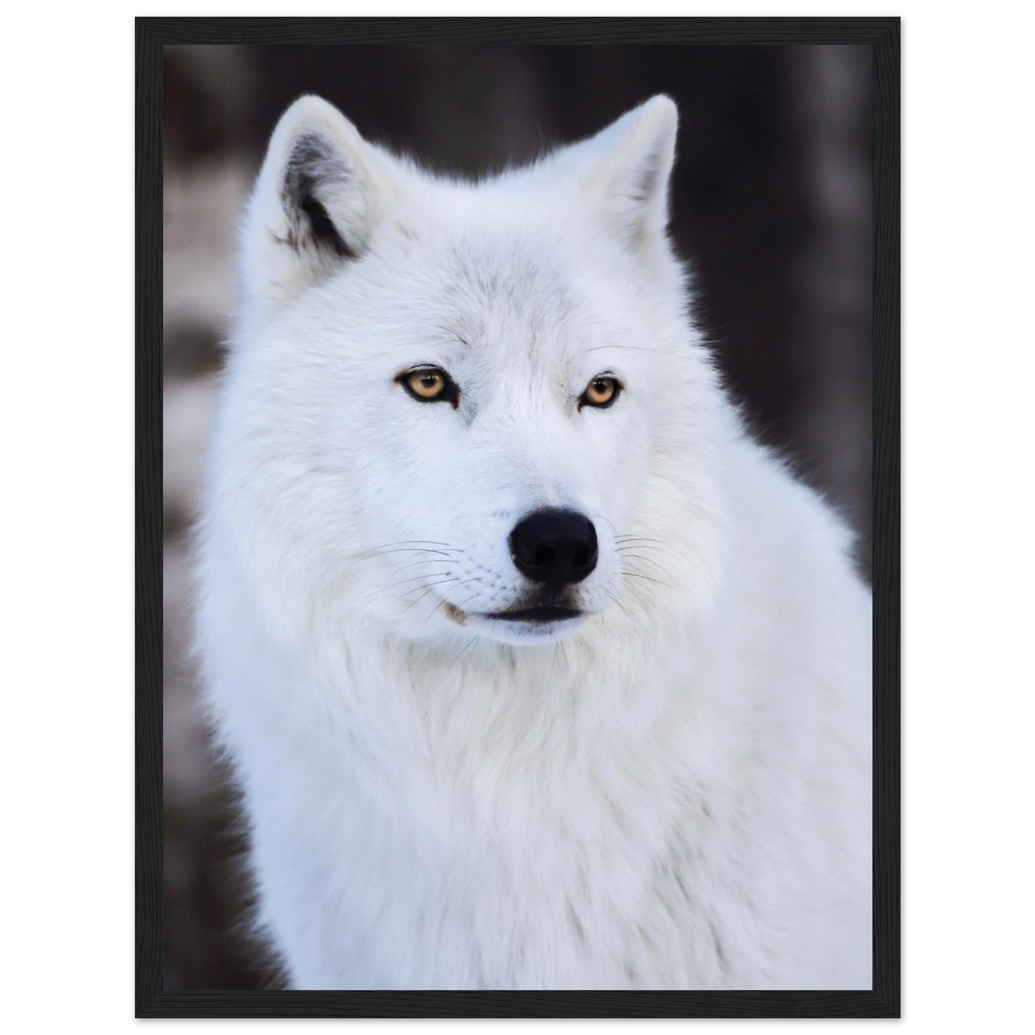 df20df31-75c9-4c30-8a5e-5ad0ac676440