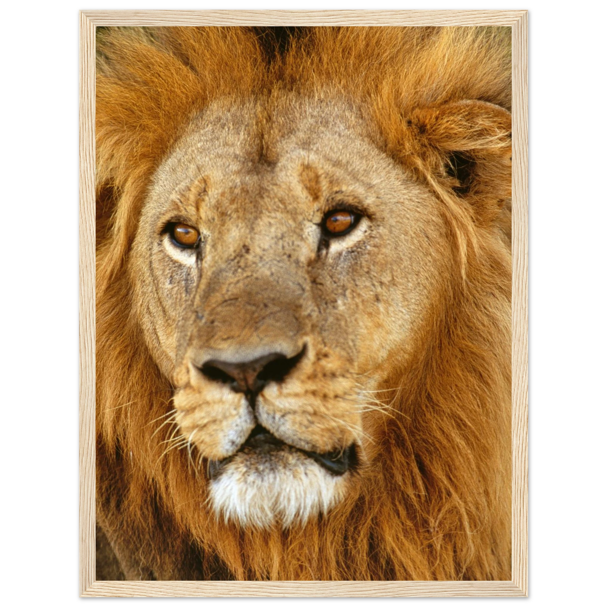 df4c1477-2940-4599-9fff-e1d1f3c0608e