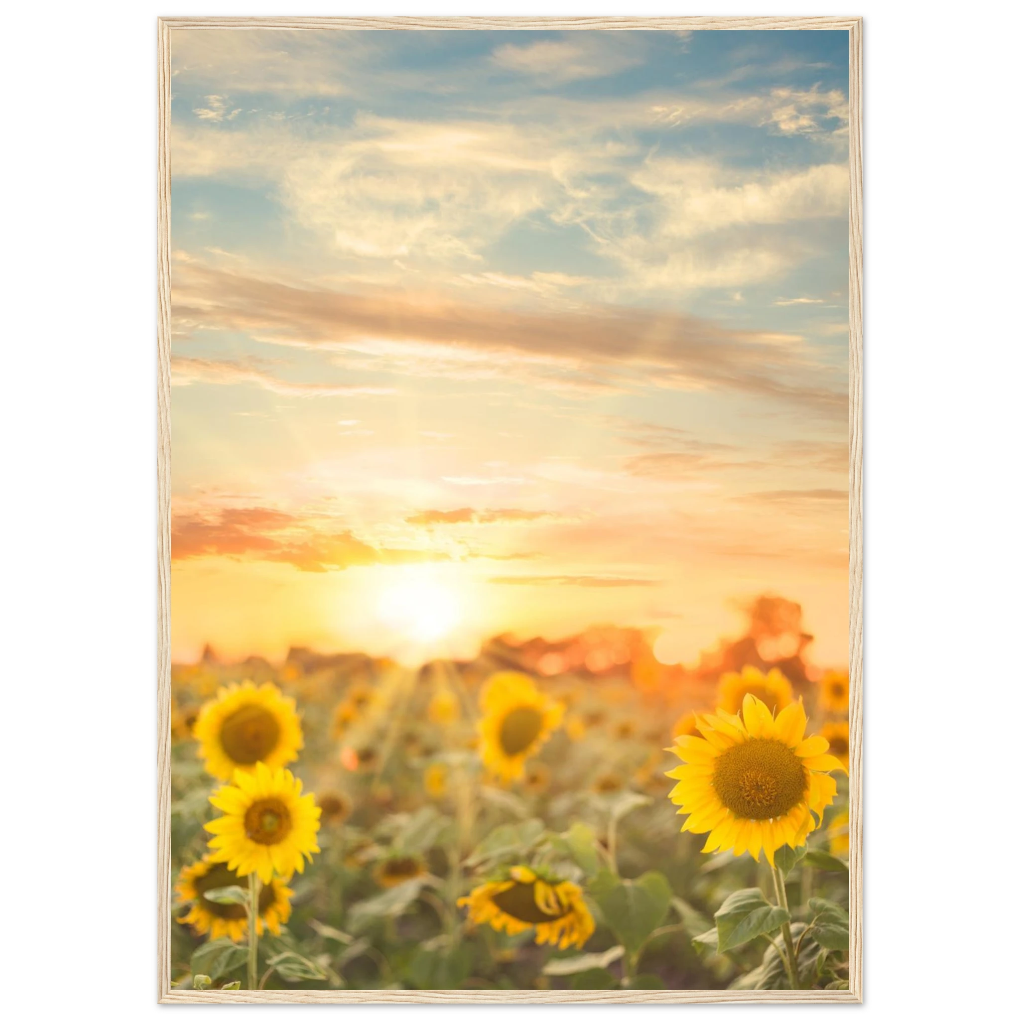 df6cda48-a8c6-4162-b5f8-95dba89c9ab9