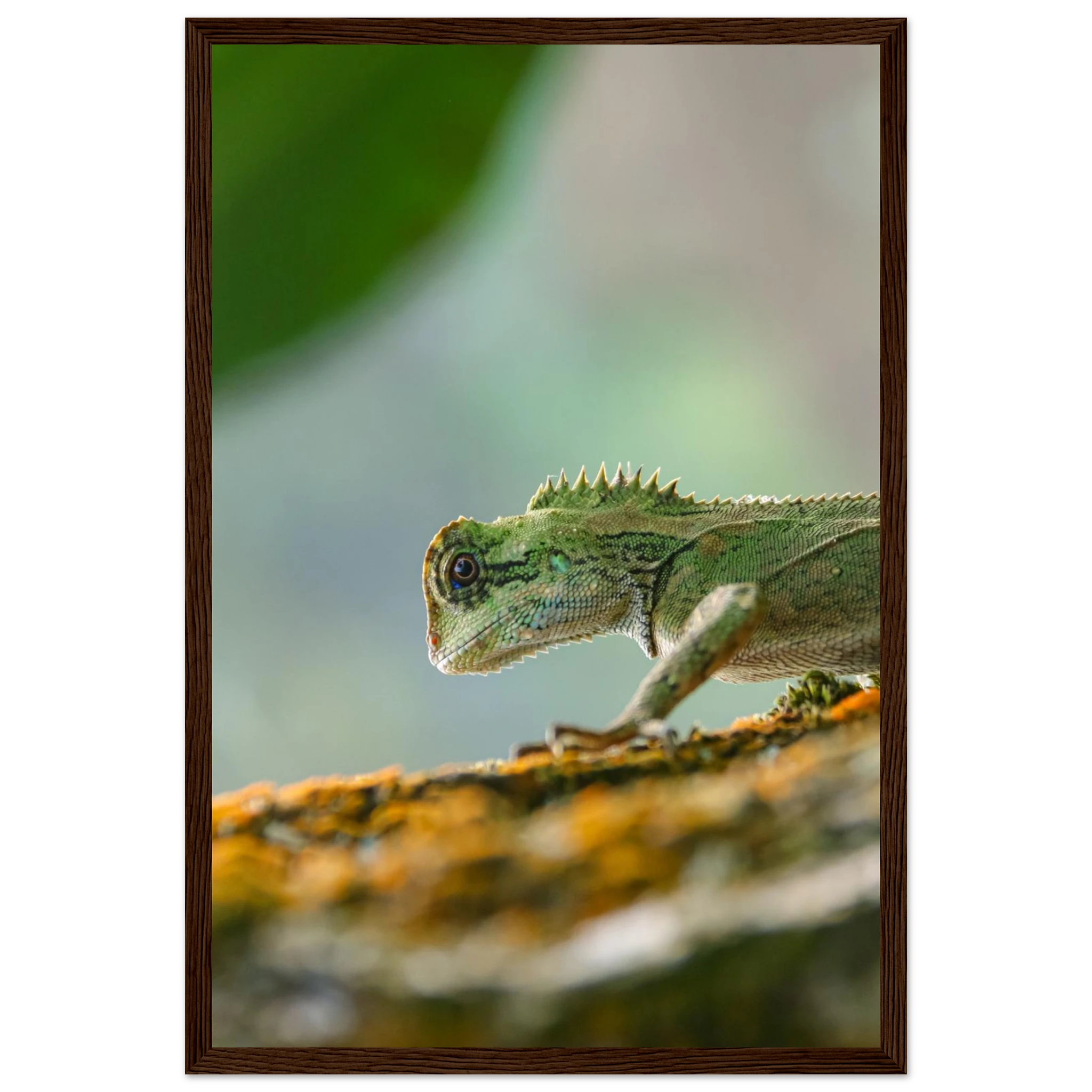 dfcbcc50-3b6f-435c-aa15-d07bfb0ce483