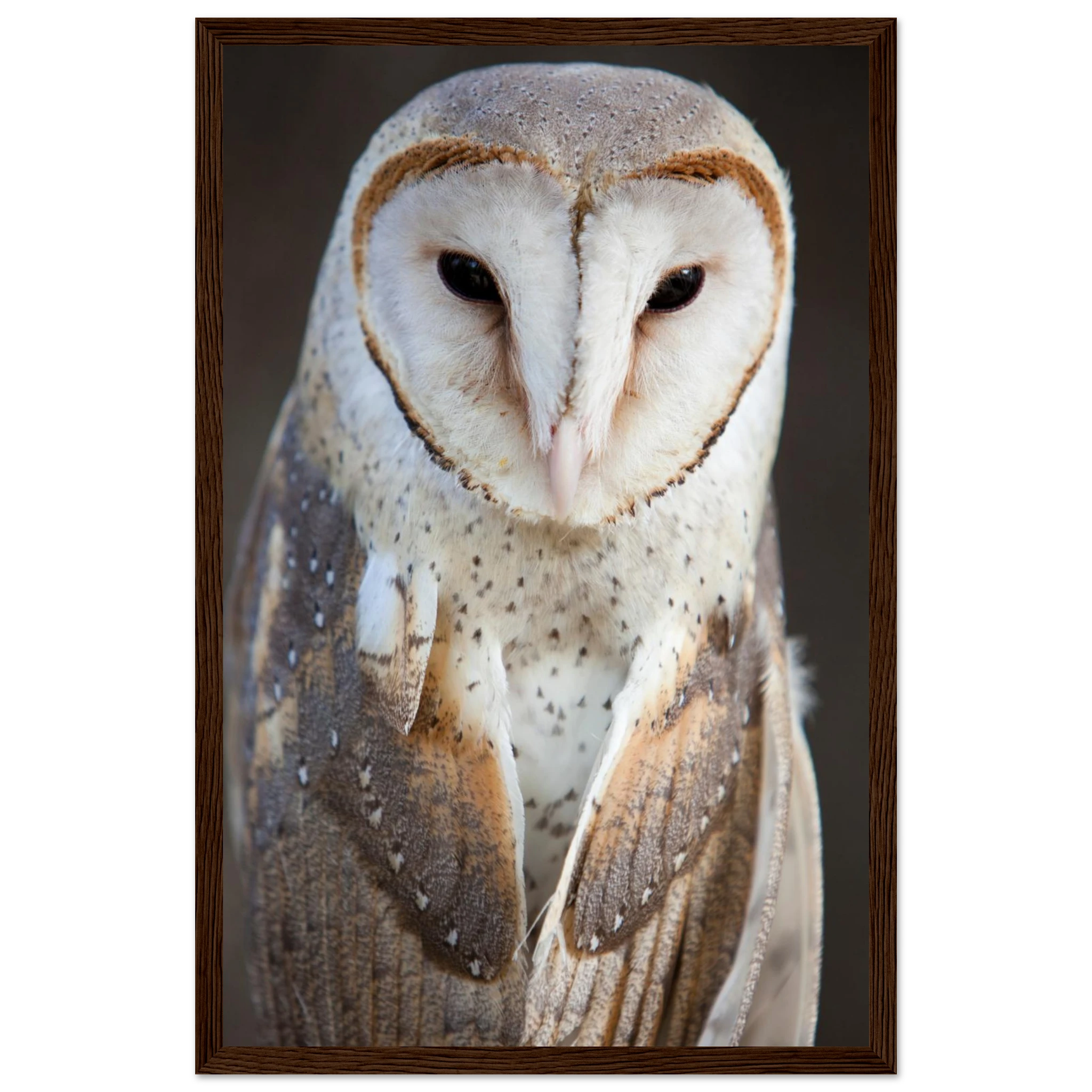 dfcf61b6-93b1-4af7-a0b9-e4bf9ed53819