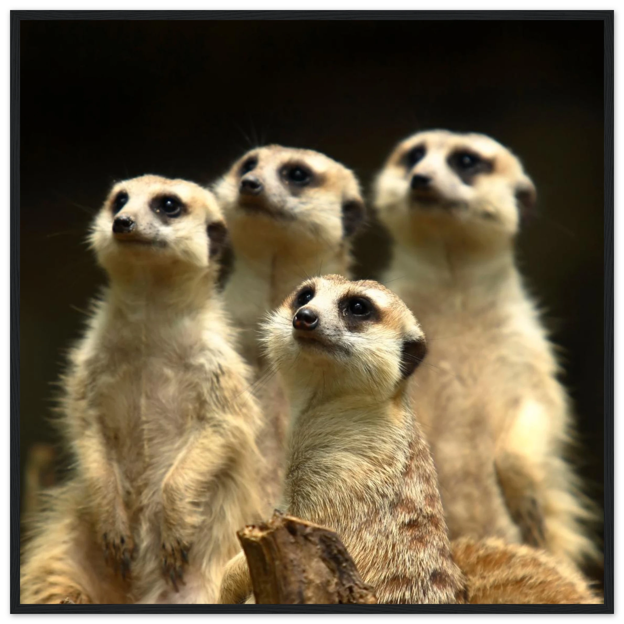 dfddde05-705b-41ae-9136-9fa55d3668dd