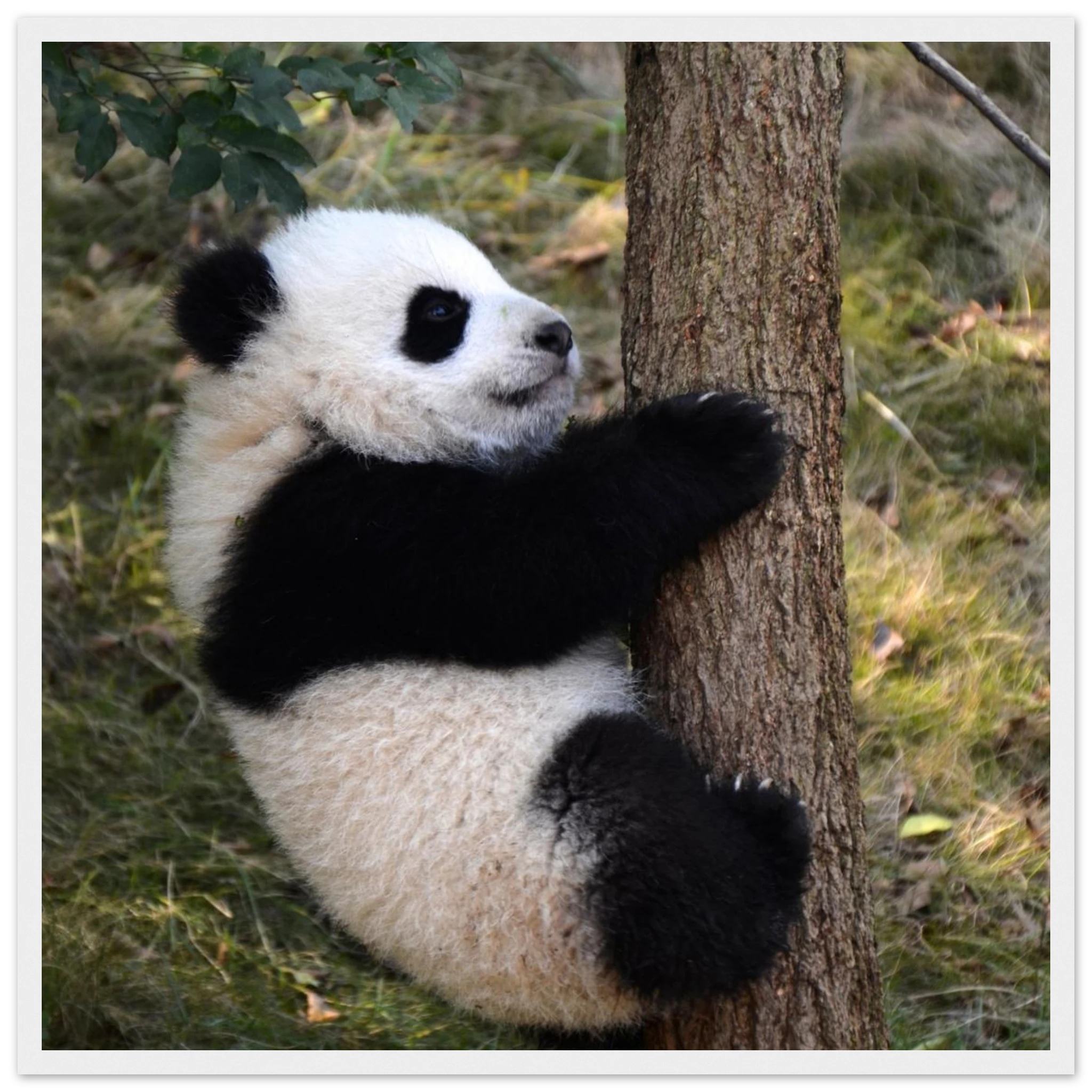 dff9401d-639c-4c08-838a-f6dfdf05d381