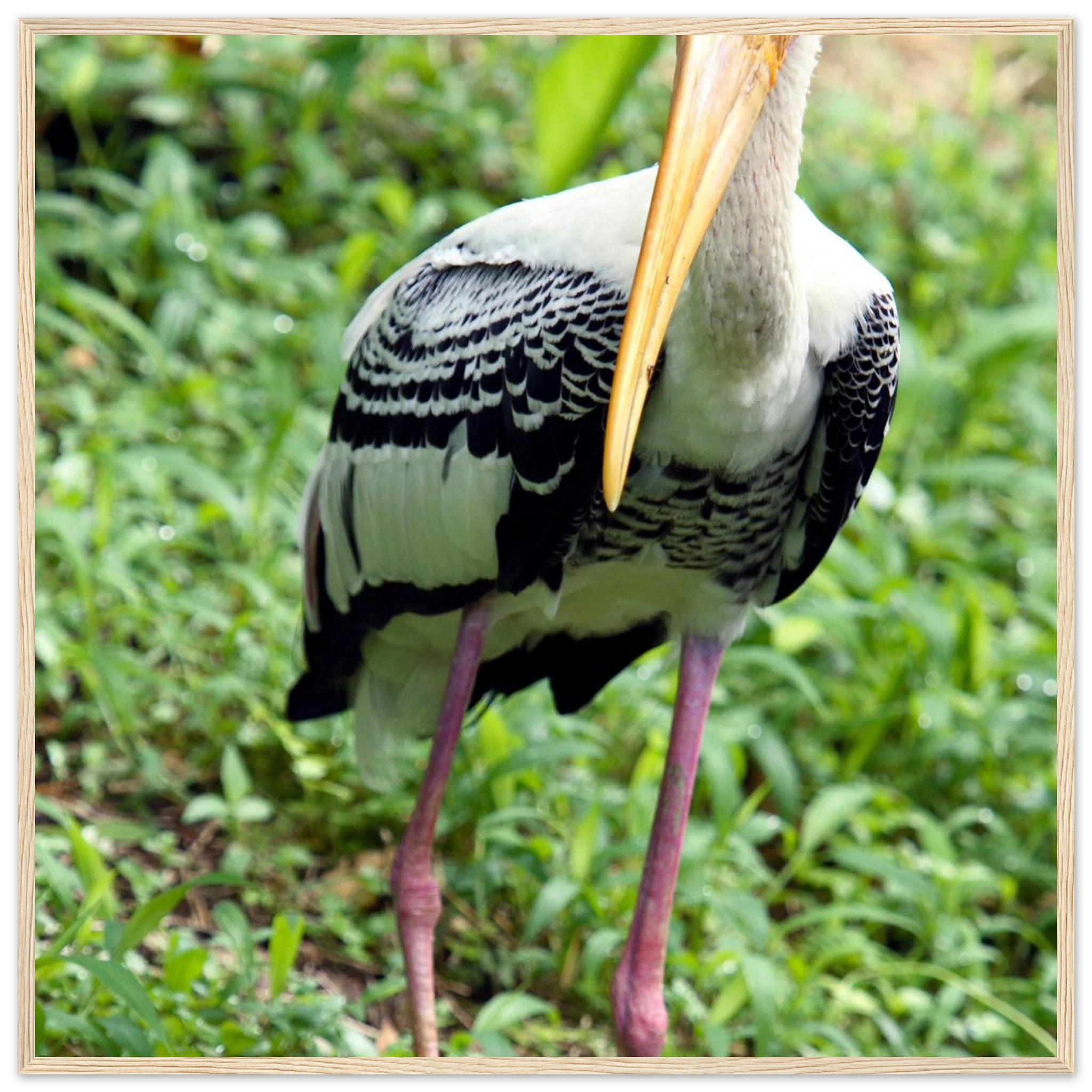 e002c76f-2464-4684-a89f-27bf0be7d7ad