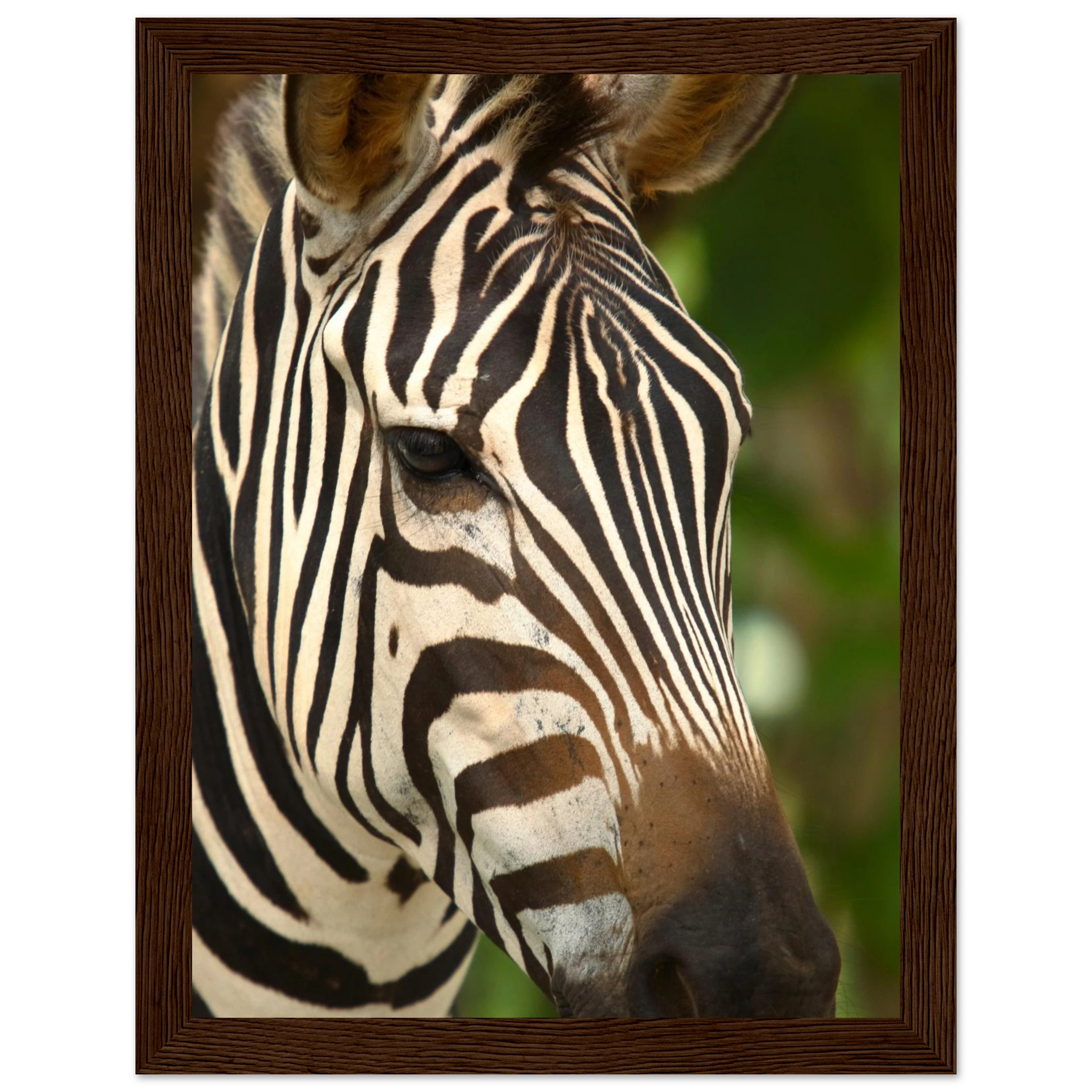 e00c5200-f367-448c-9944-3985f419da3f