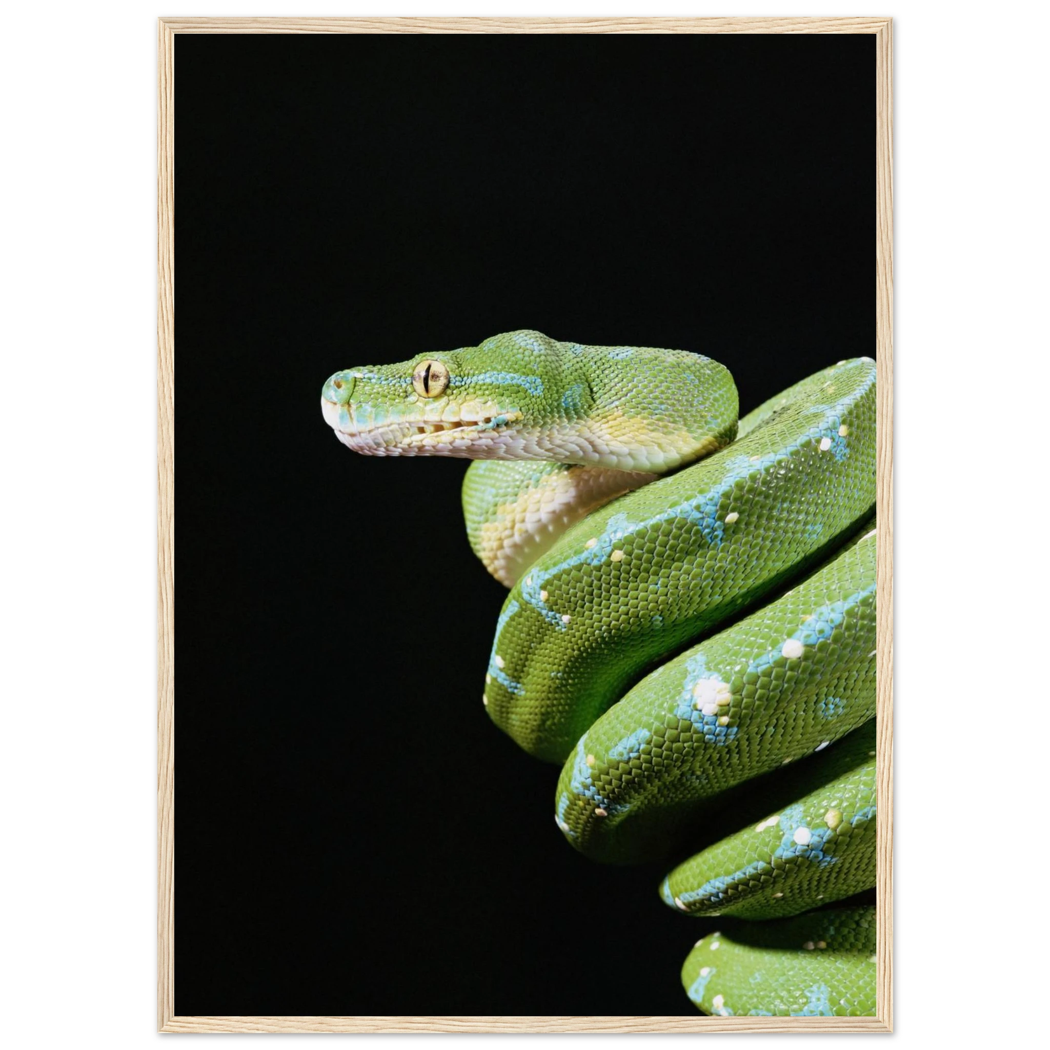 e042ef9b-b2d1-4092-8e80-c70e7d9c335e