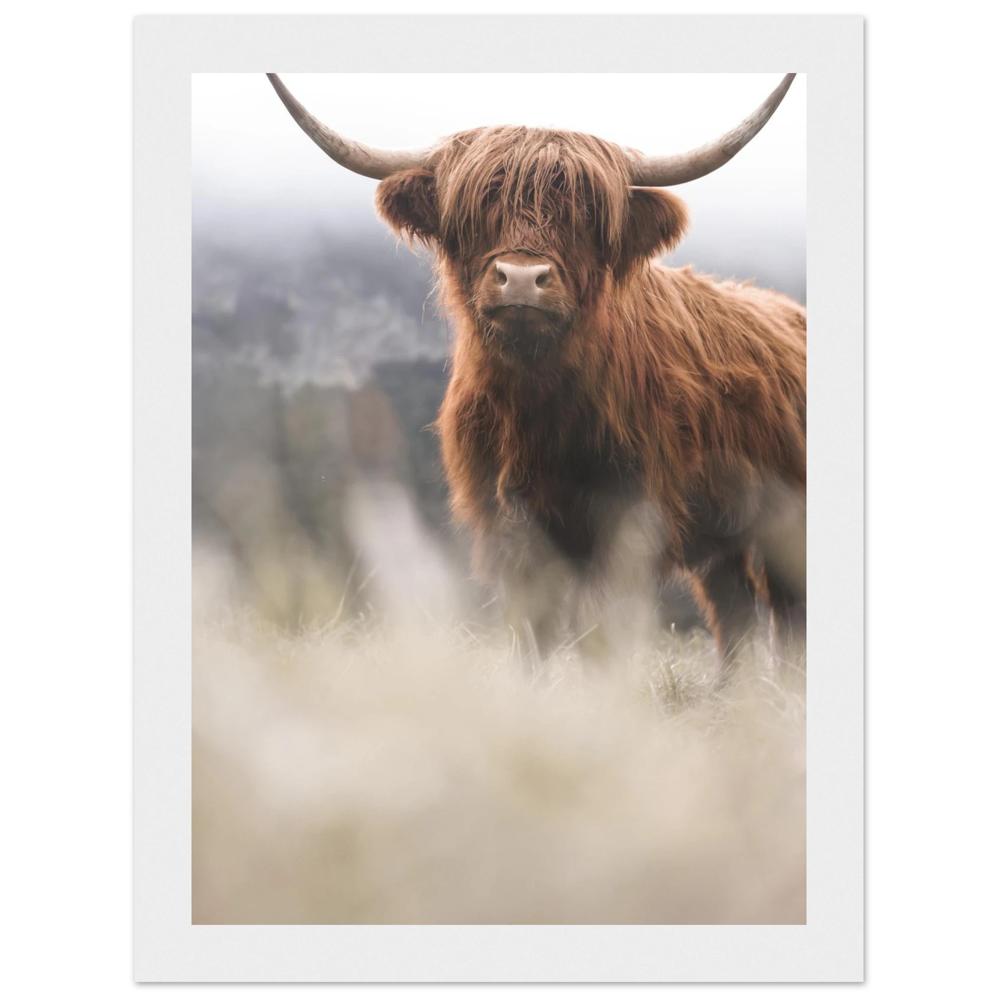 e05e70ec-1056-4e17-8639-e60852b3167b