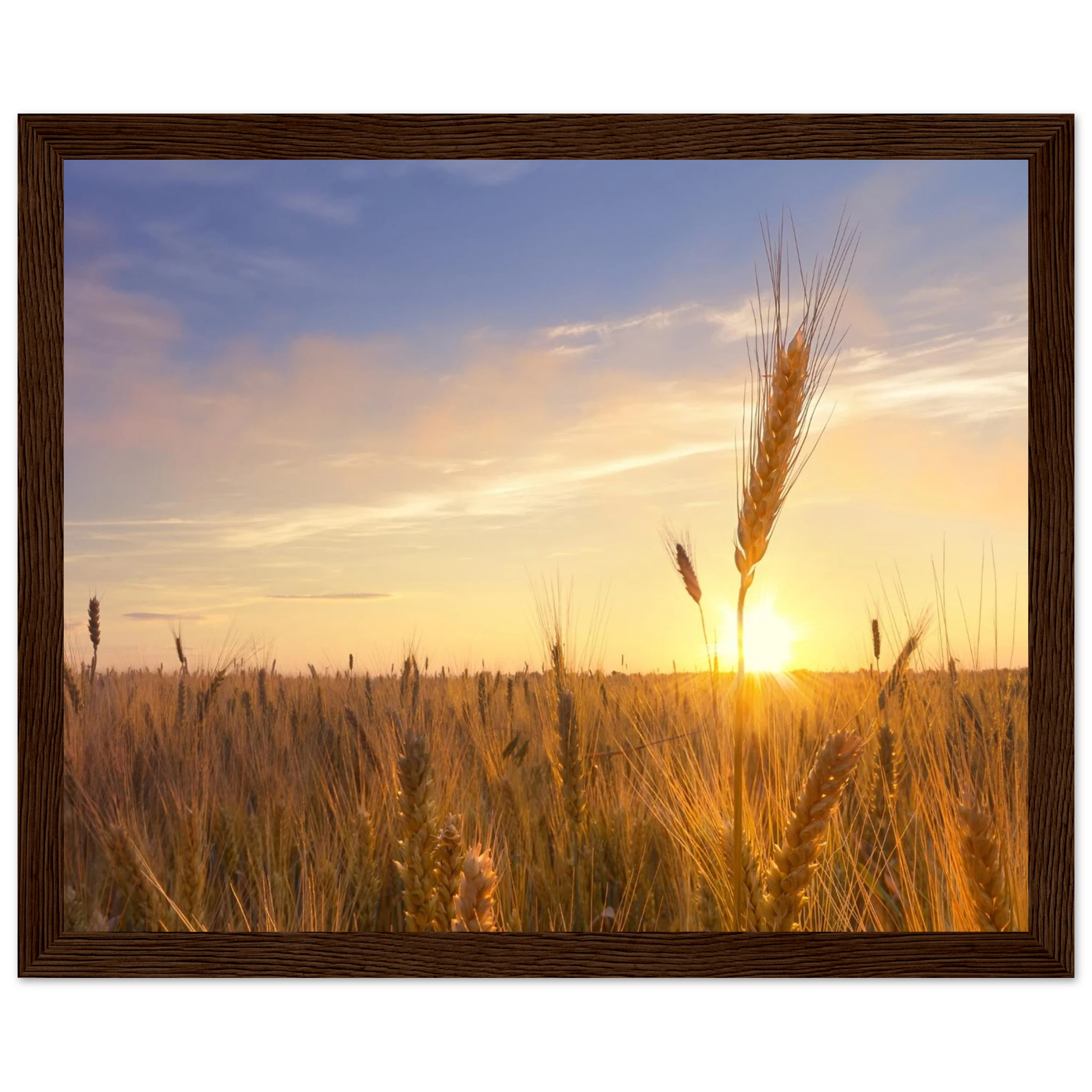 e06c264c-aade-461b-93b7-471d87c8ffe8