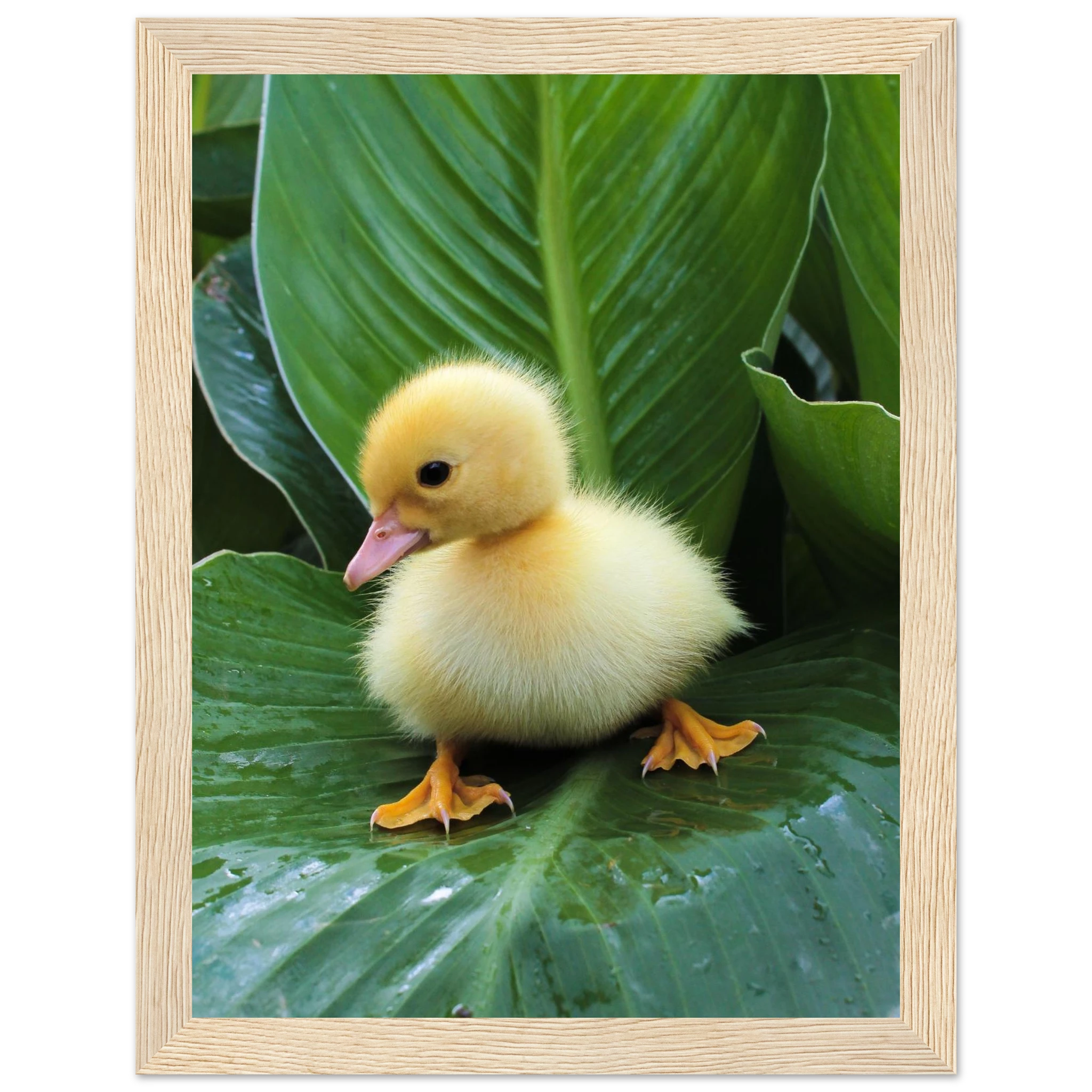 e1135a98-04f7-427c-8693-08fe3a49f157