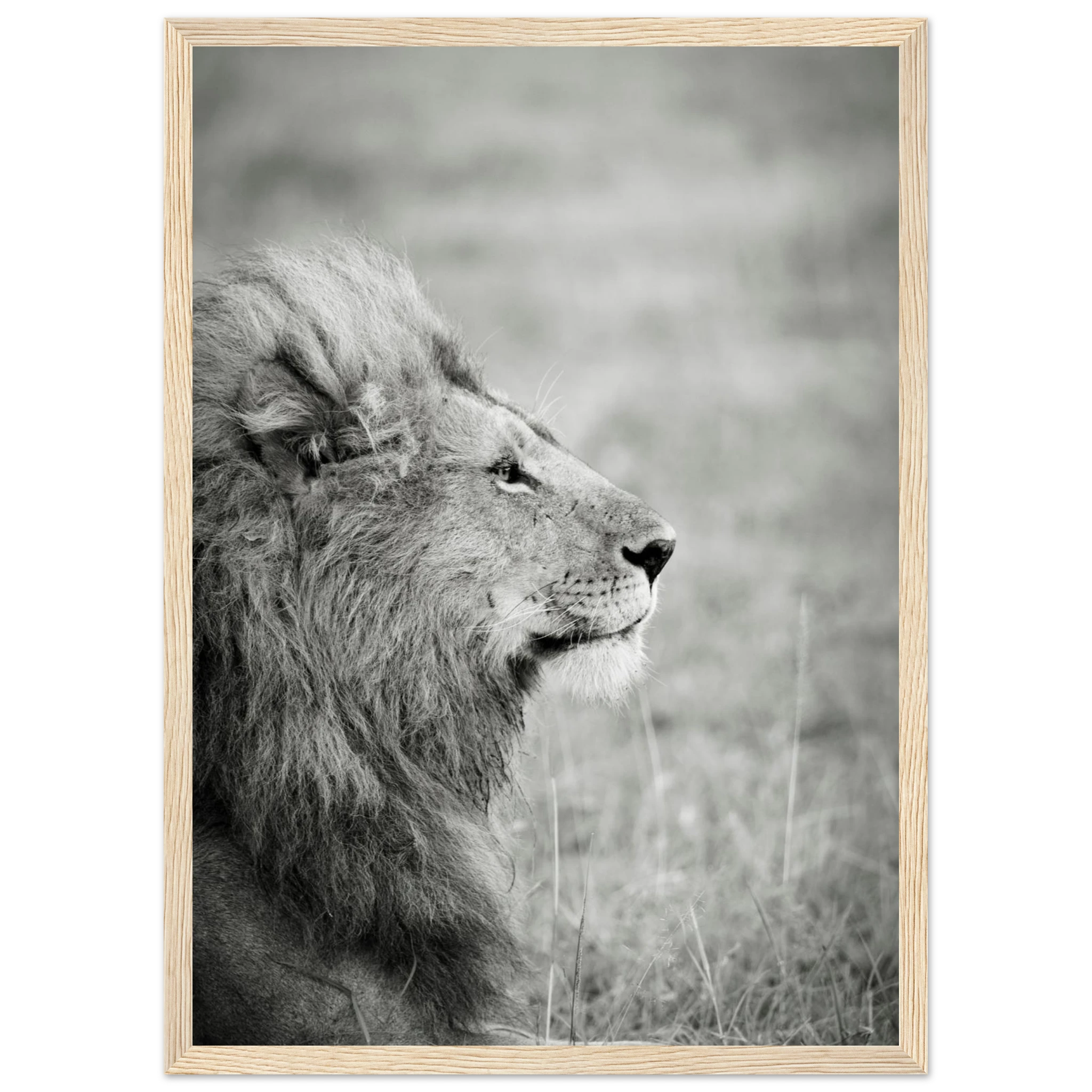 e1489a3a-2aa1-4530-8a5c-664518cd9629