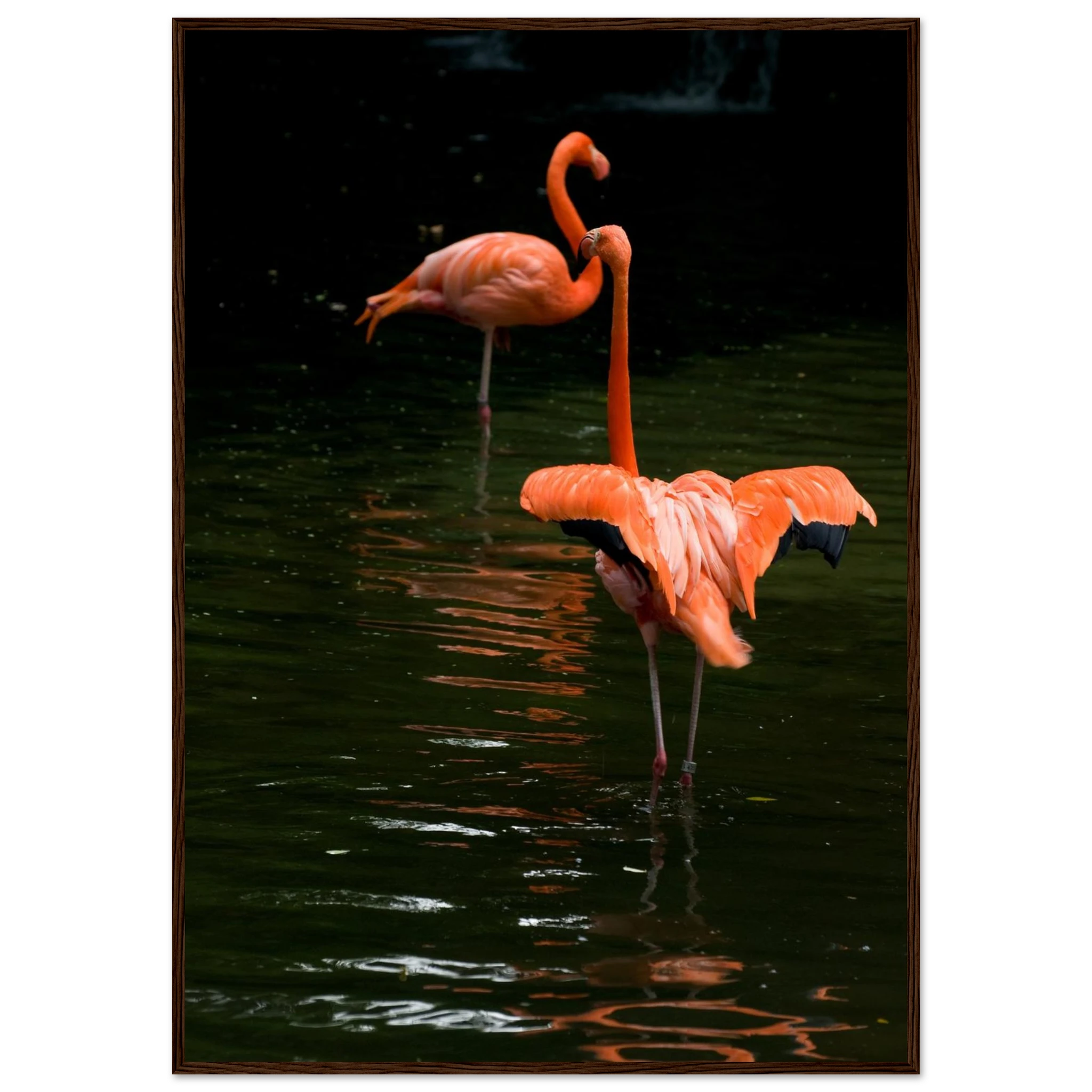 e165b902-5042-411e-91c5-aad8cb6da7b6