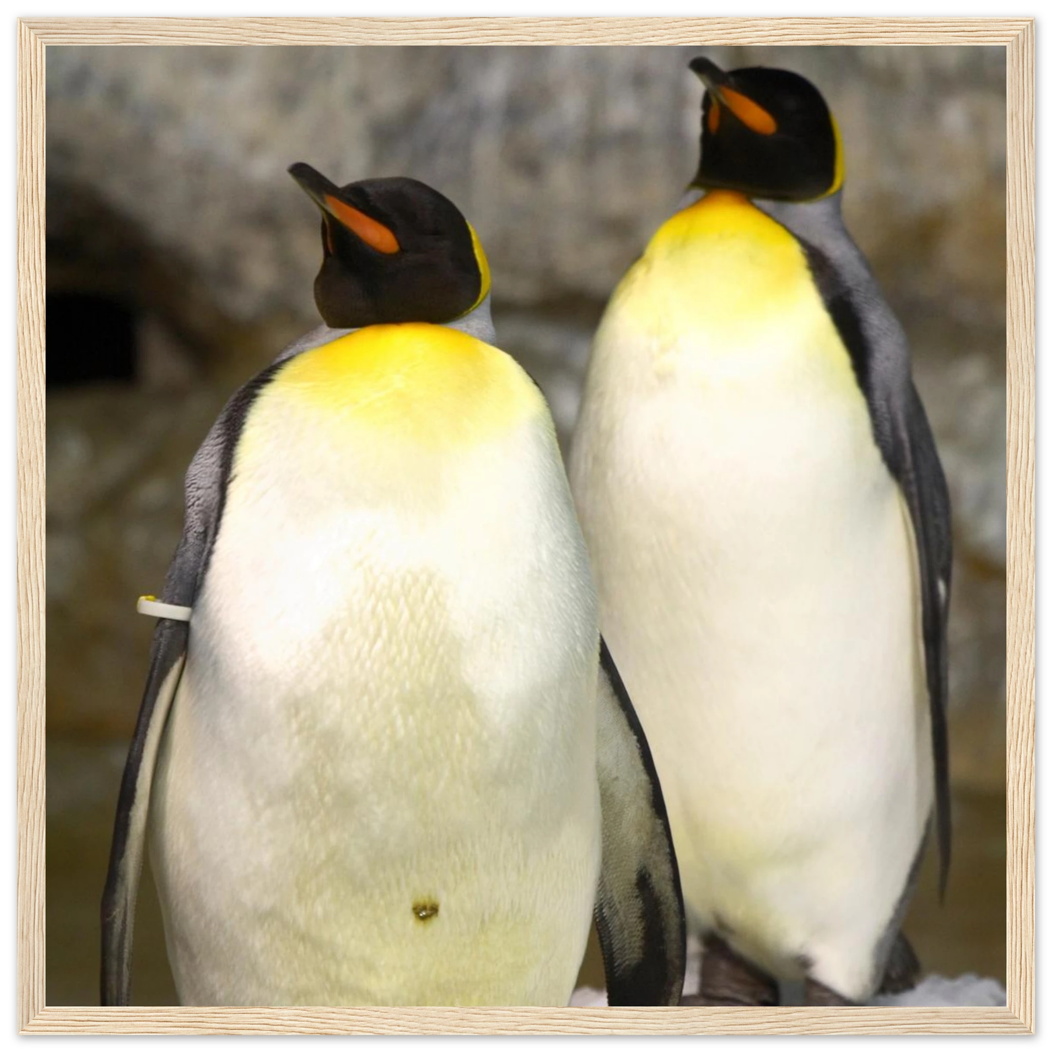 e1814e9e-5489-43ff-b0ea-d13c06ee519e