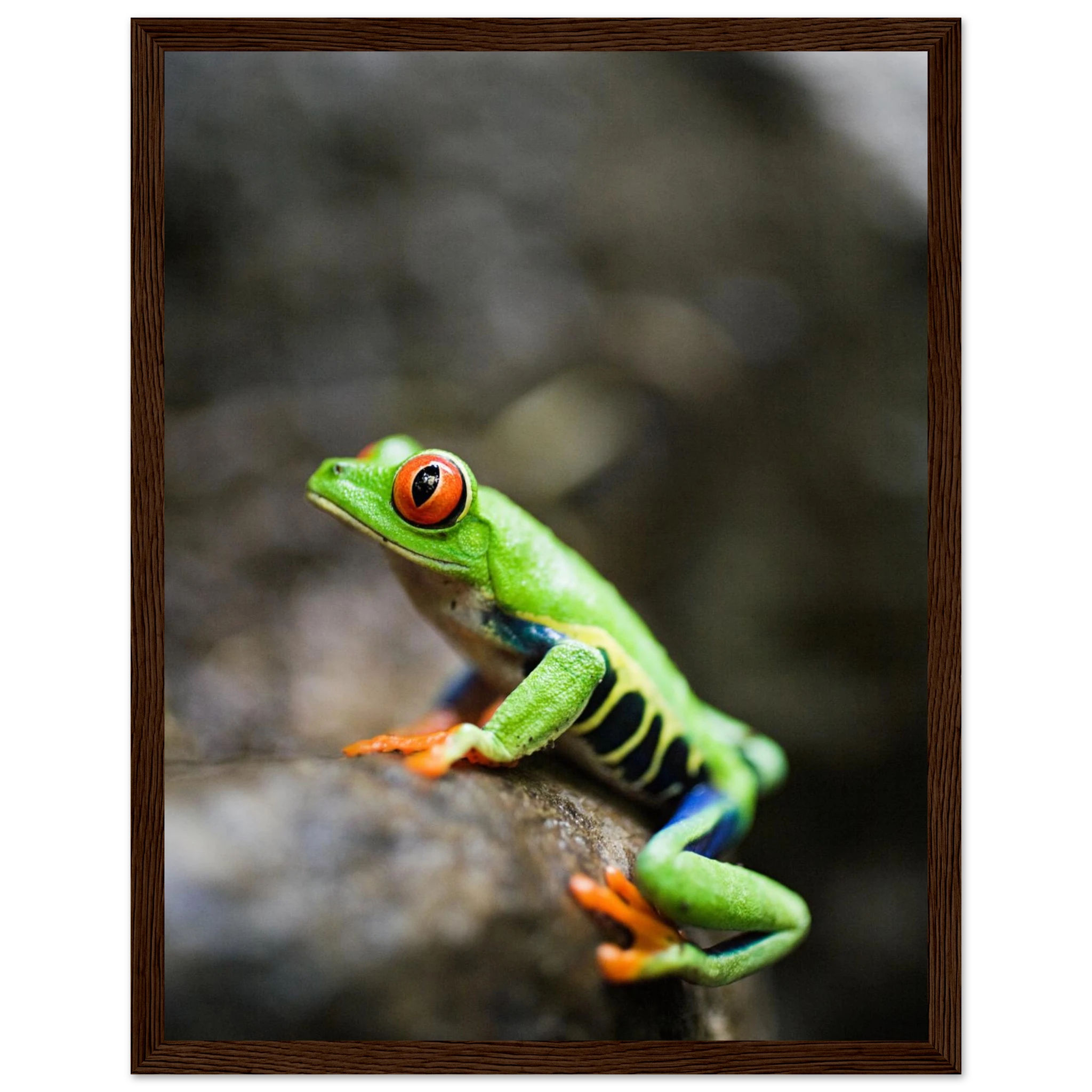 e18a807f-f4e0-48be-9085-0e9c97df704d