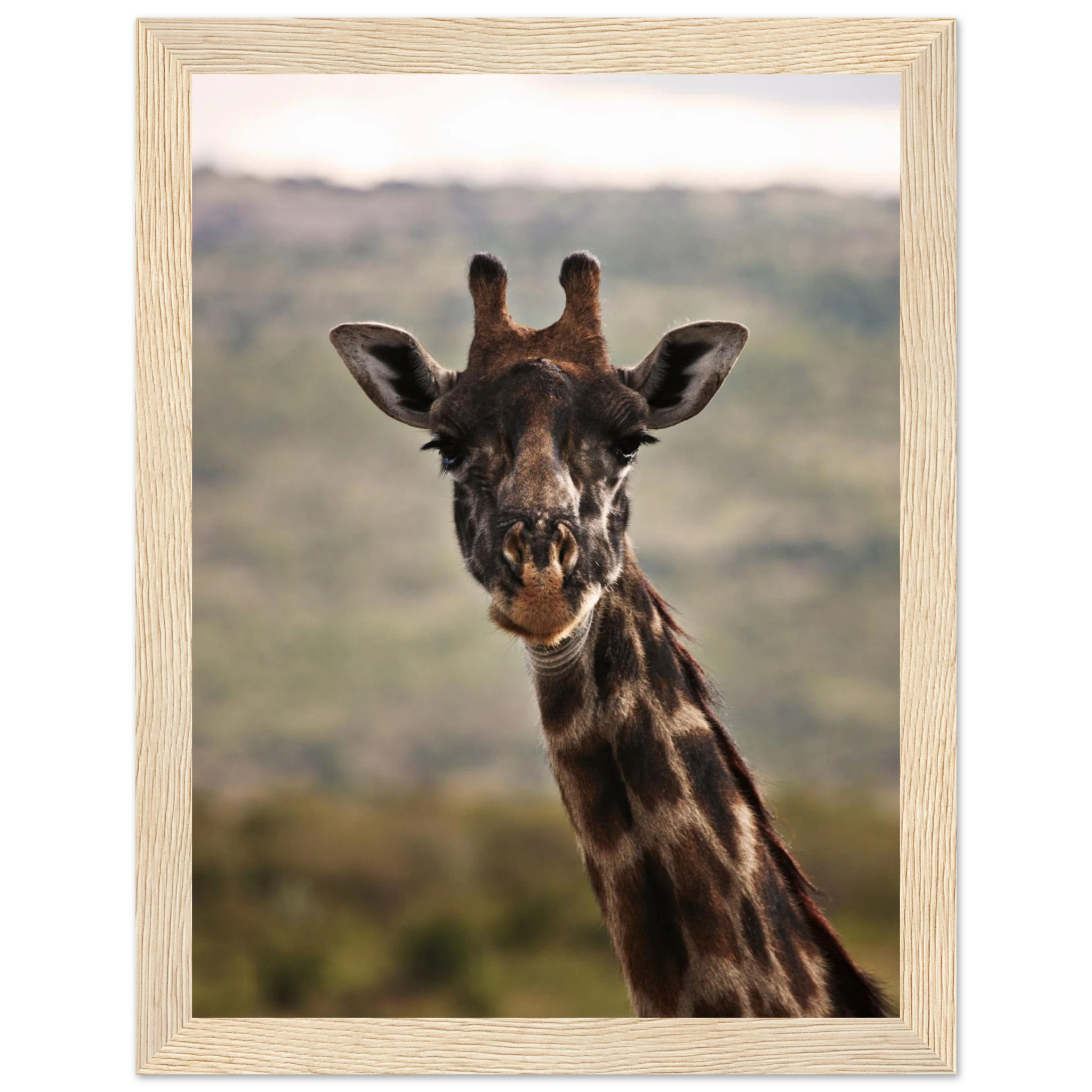 e18c67ed-2f71-46ca-8b3b-6488b9b8f5aa