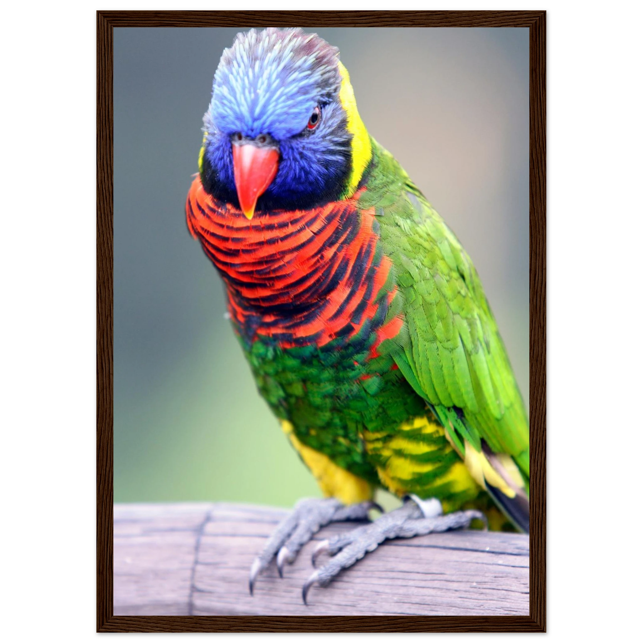 e1978267-dda6-4b1f-897d-c987ce4b9573