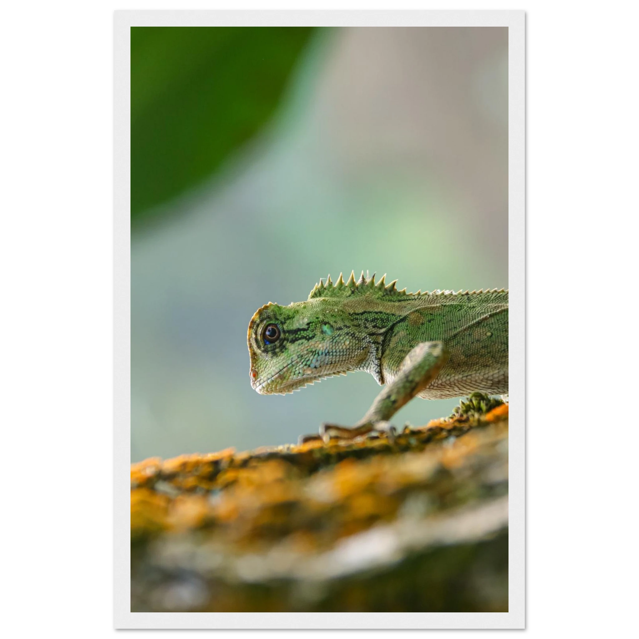 e1b91c19-981d-4a0c-b2df-75970603725a