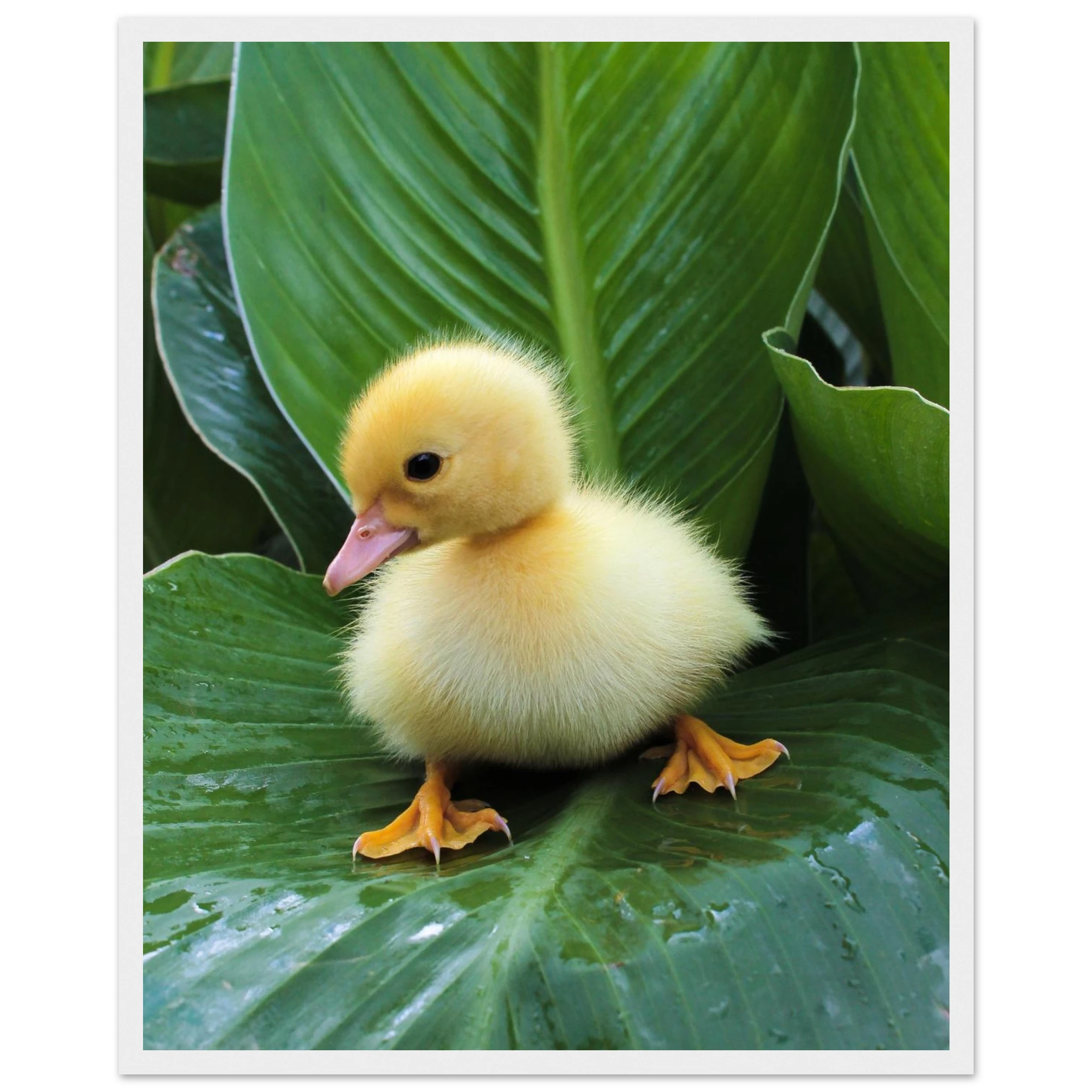 e1b9bbce-e3ca-4023-bad1-ec1cdf4dadc1