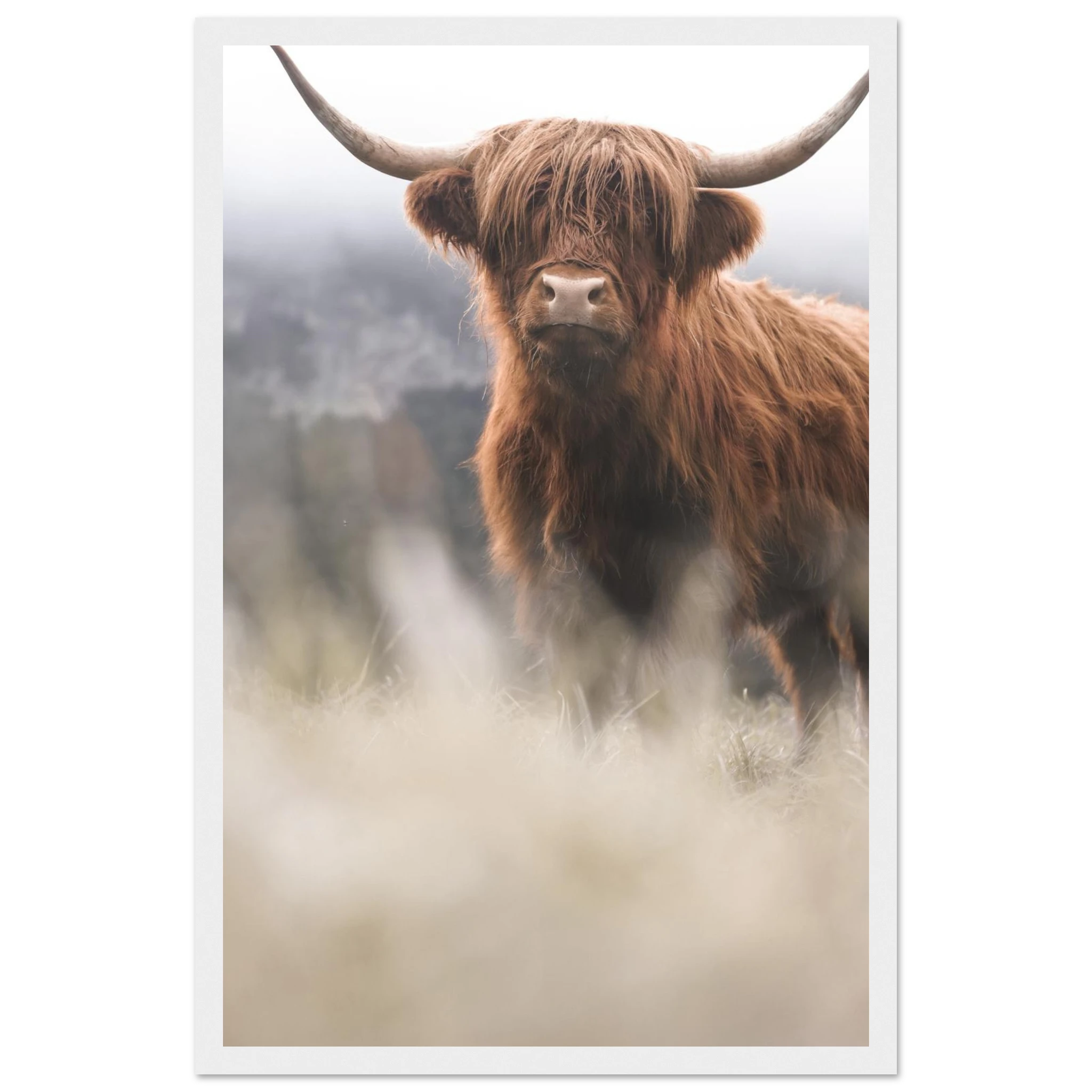 e1cd9d1b-e2d4-43c3-ba17-b258accb56cf