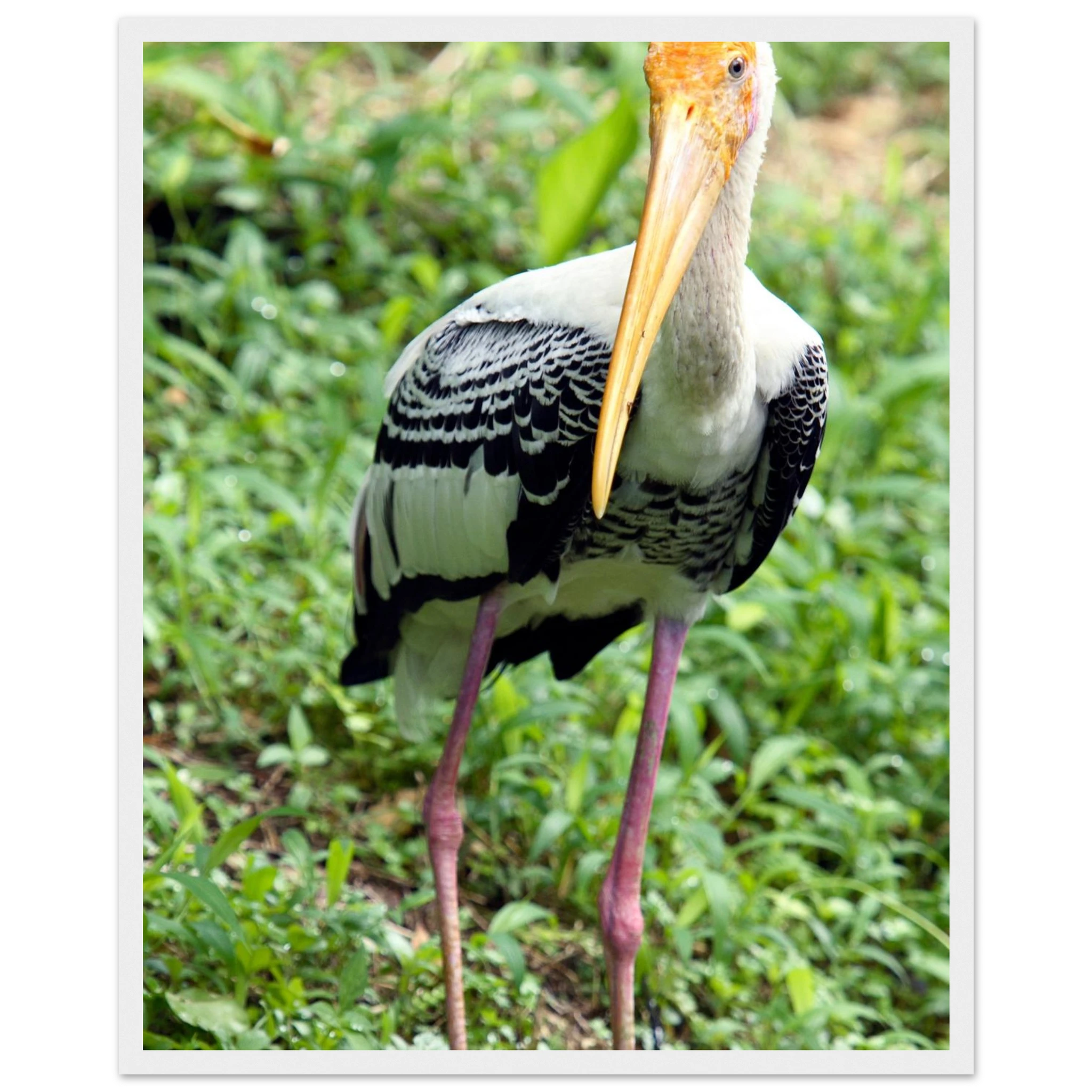 e1d3ccbf-c501-4c04-98e5-248589653070