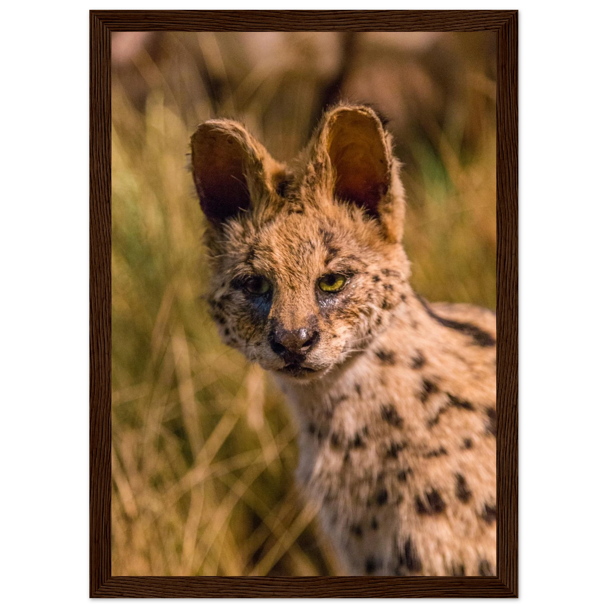 e1db2c4d-2487-4d8c-9add-df4964a1e9e9