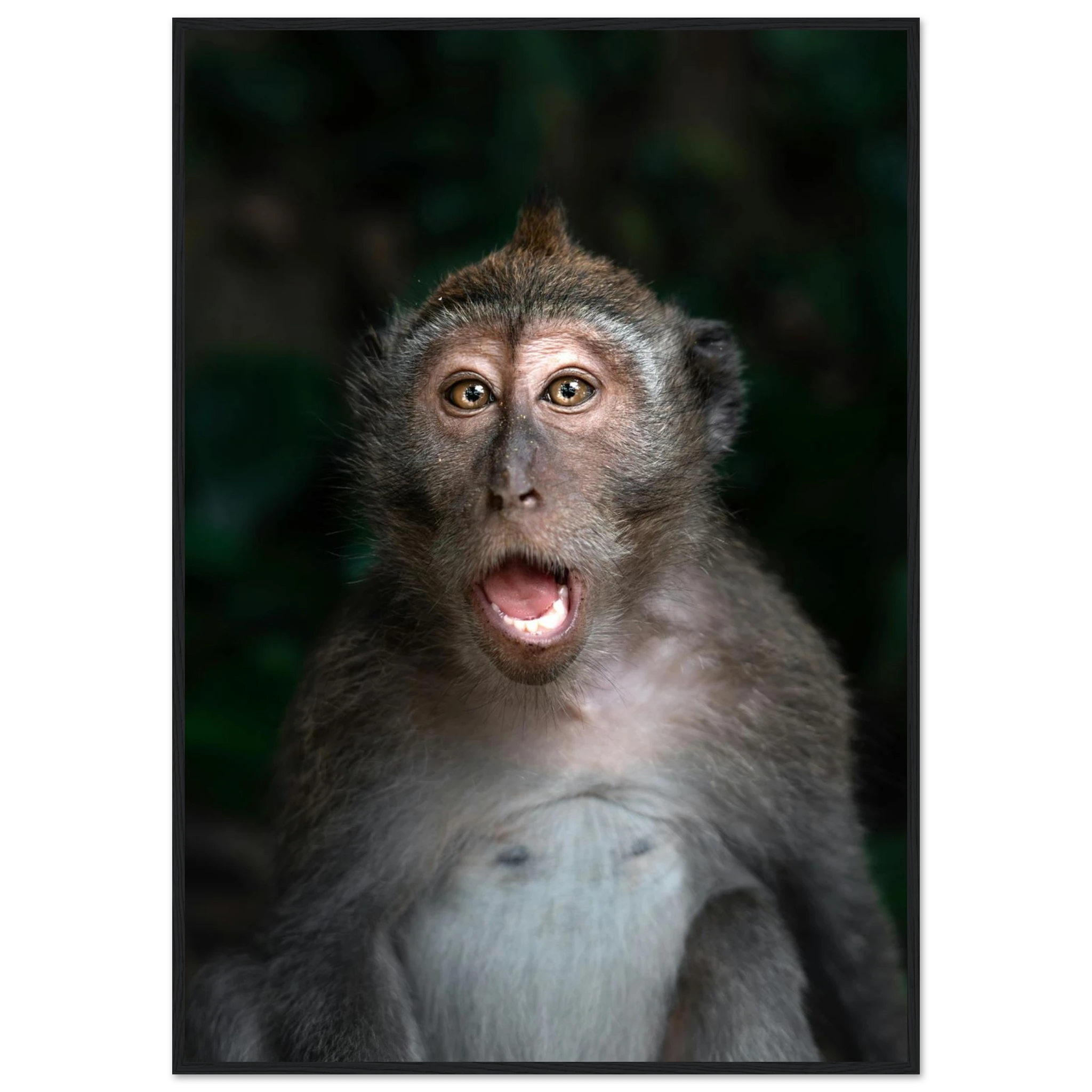 e1e184fb-beac-482b-8163-5c8aa72a4fde