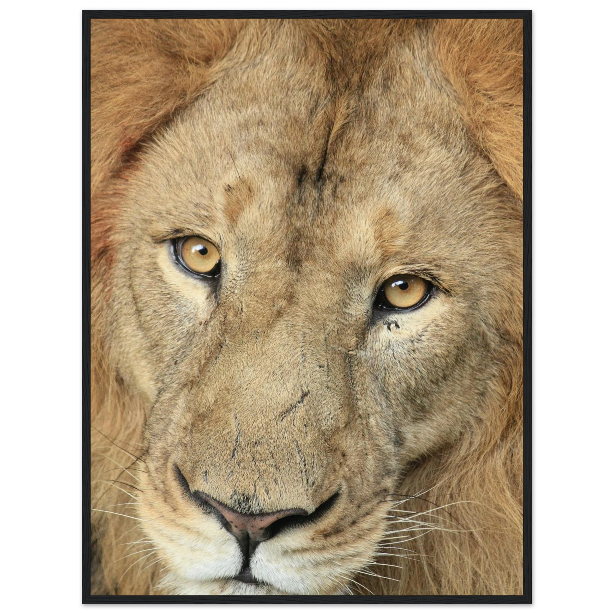 e1e71851-a265-4e95-abae-8327a0a9ef91