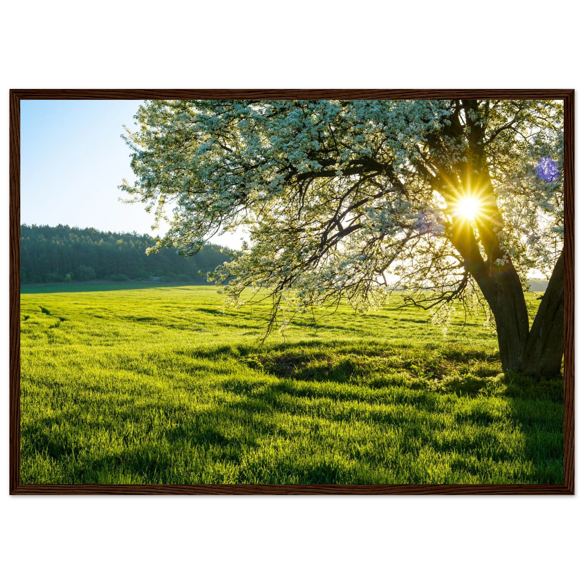 e2608fb6-df7a-4099-bea7-6bab7663d60a