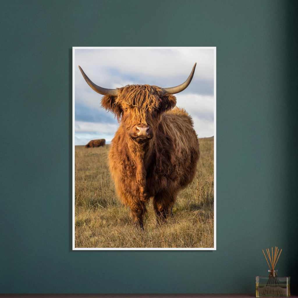 e26866d5-ada7-4223-8e96-7f3054320493