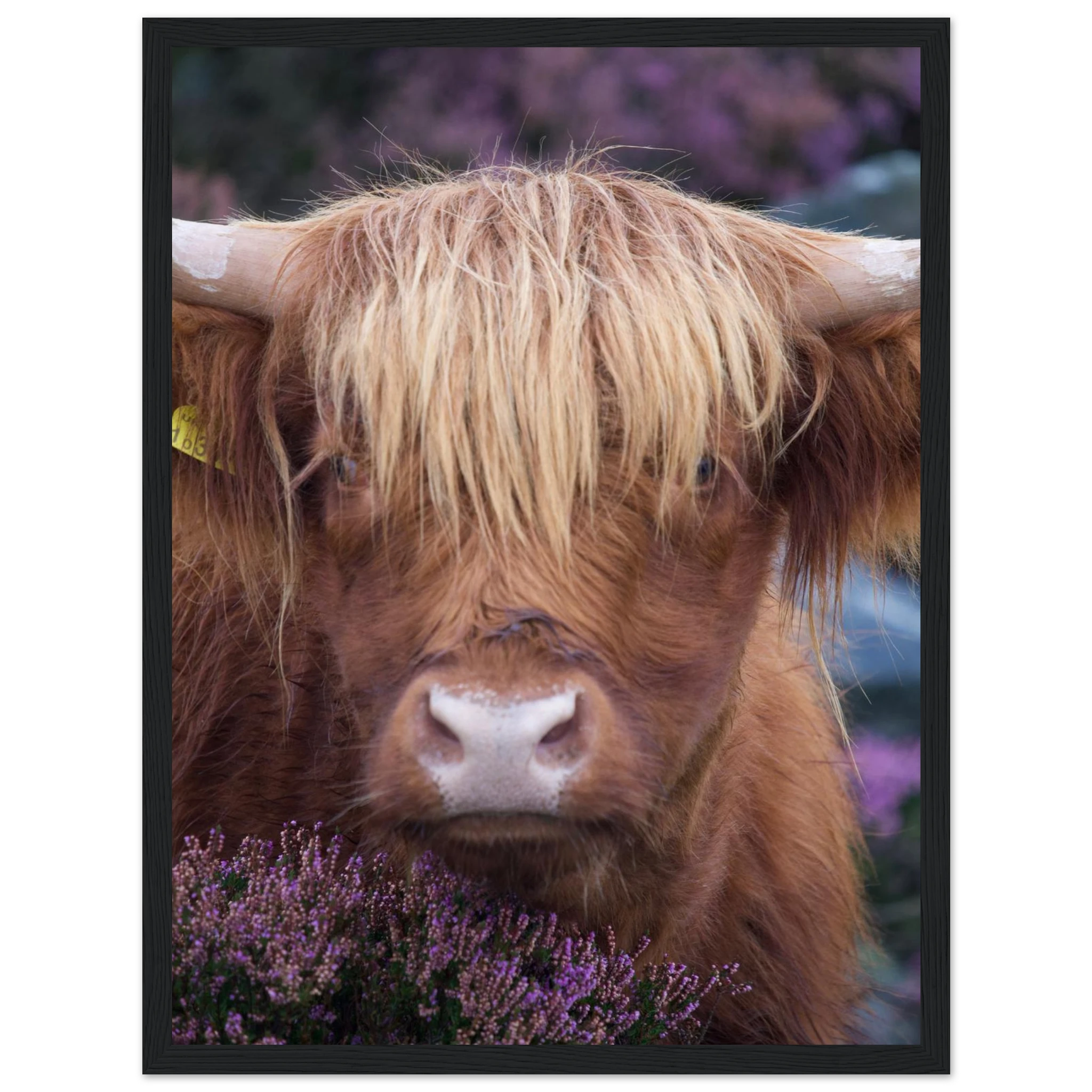 e268caec-ad4b-4aa2-9d9d-d111fdc47257