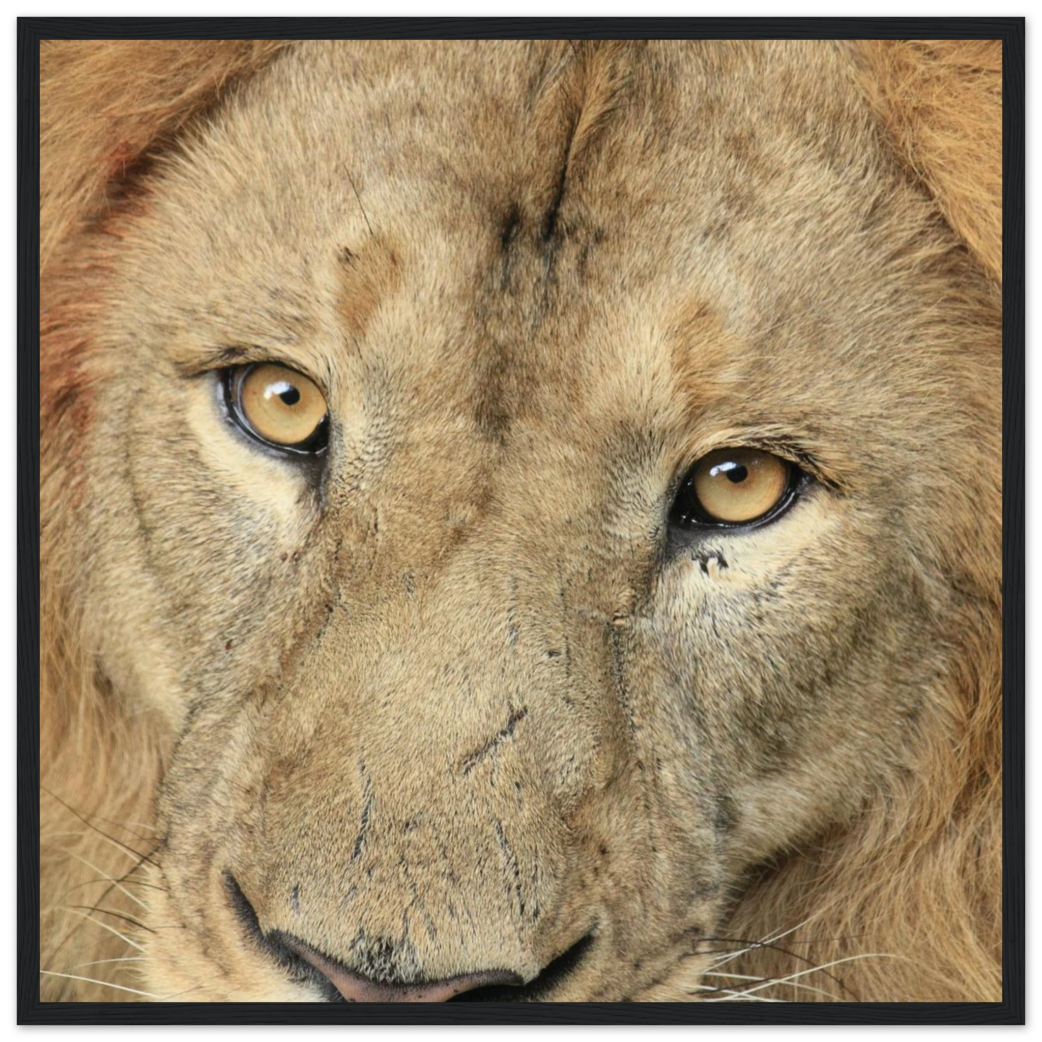 e28308a1-3faf-465a-be1b-fc341a9fe270