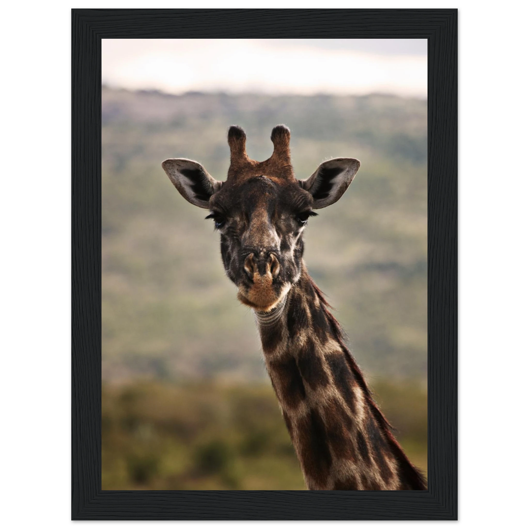 e2949d1d-32a2-49ac-bffc-93b14c561460