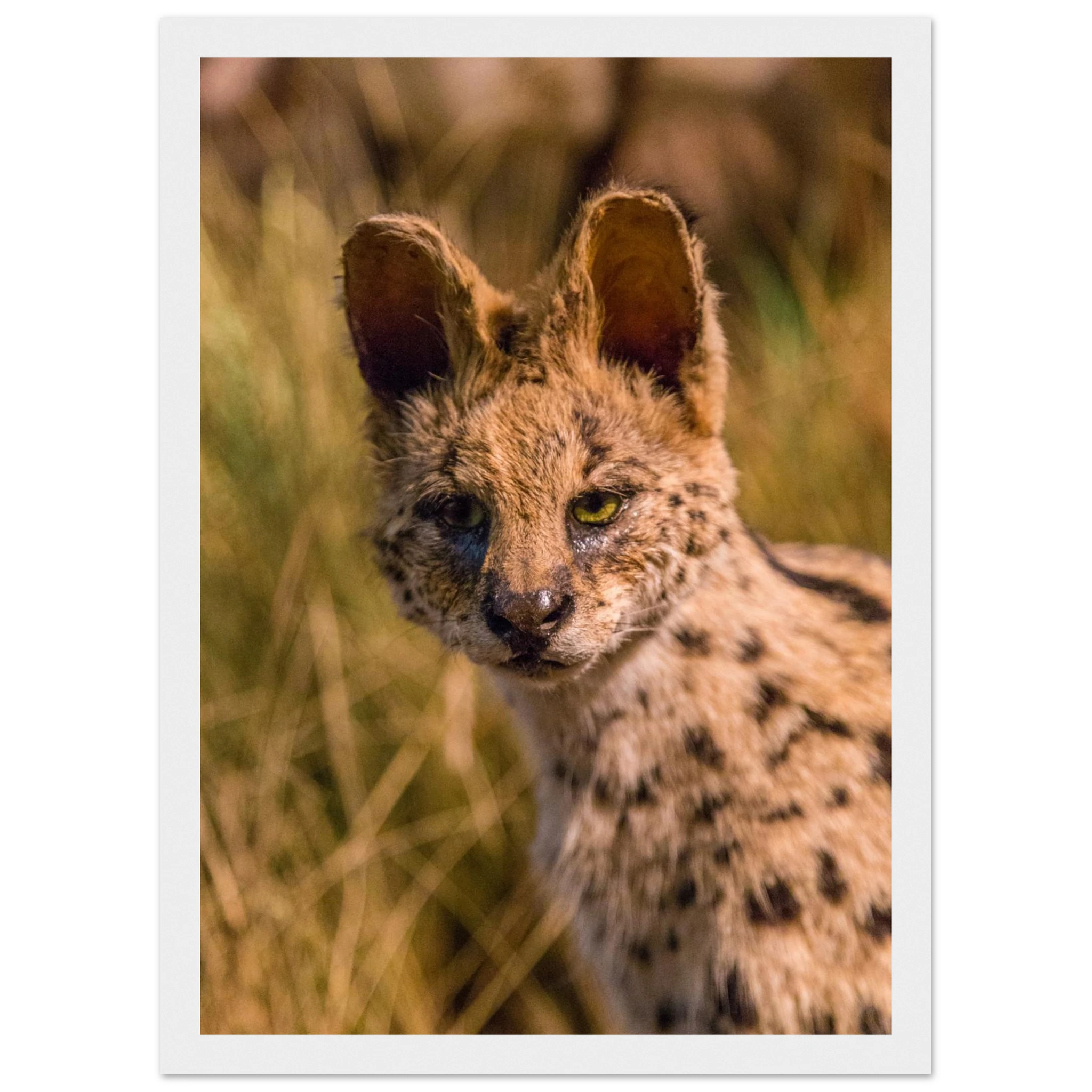 e2979764-5101-4852-acab-18f9e52efabb