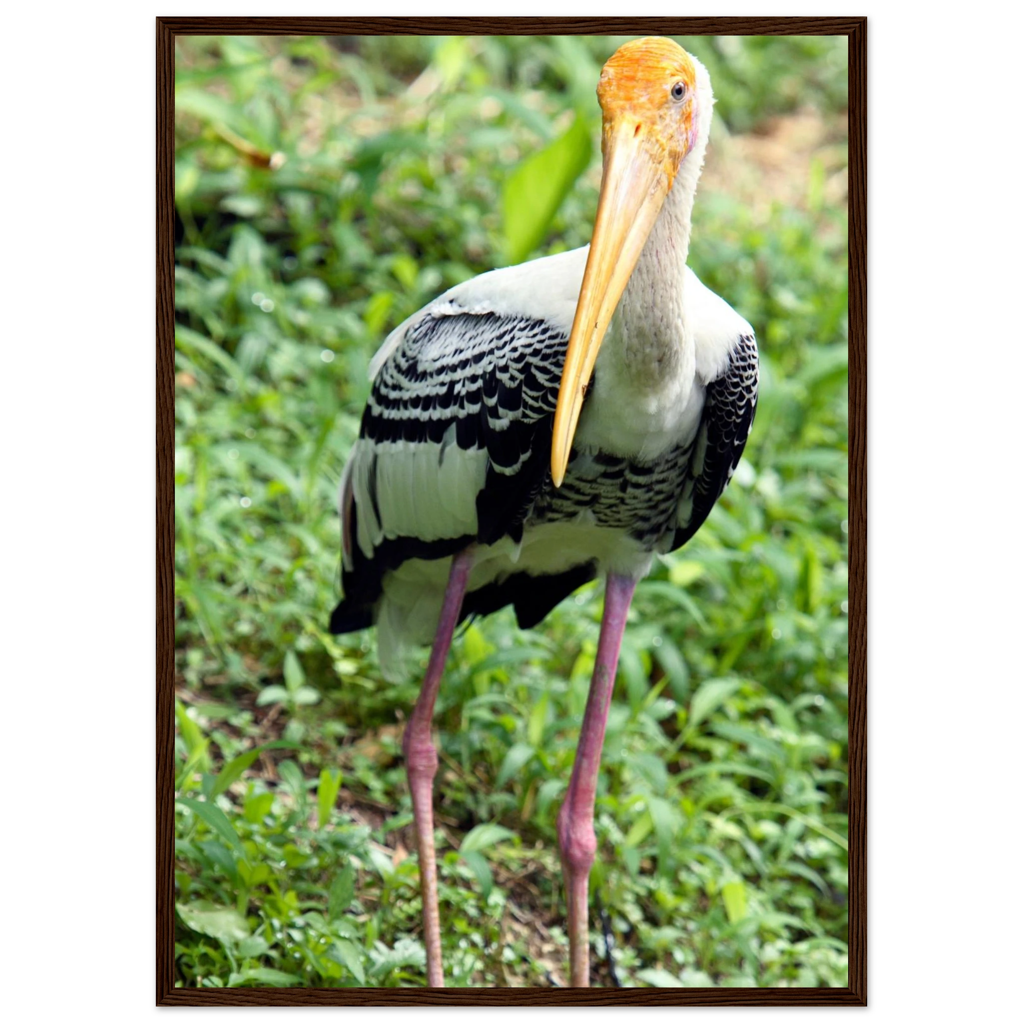 e2a64852-30ff-4fcf-bda6-77f0ceb6fb43