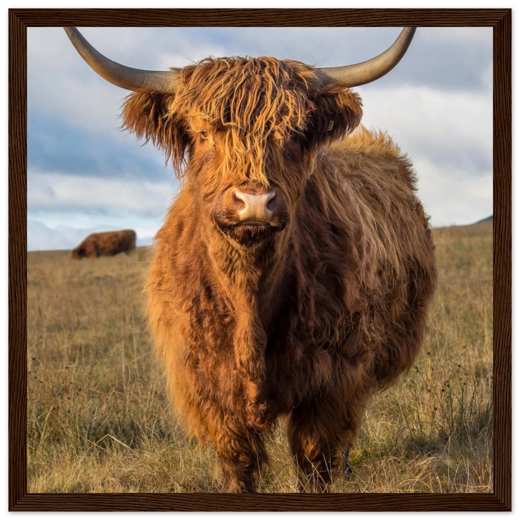 e2c53caa-effb-4bfa-b99d-0dd33a557f5d