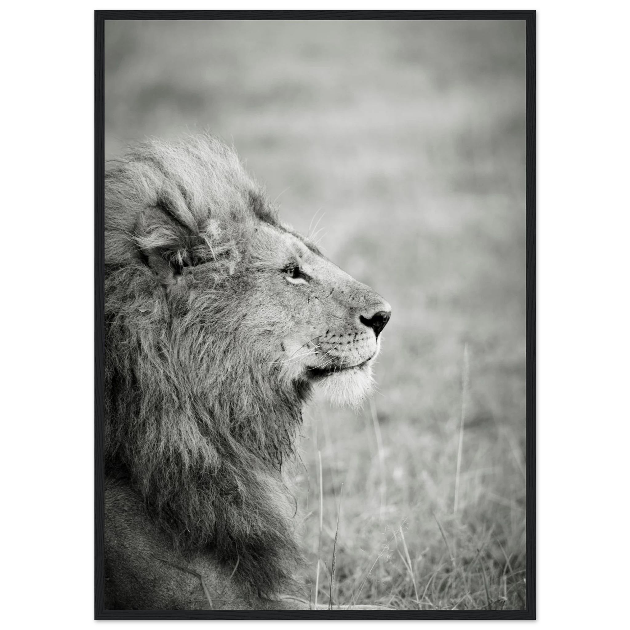 e2cb9447-2d87-4a9a-b06f-7fc0cc20d372