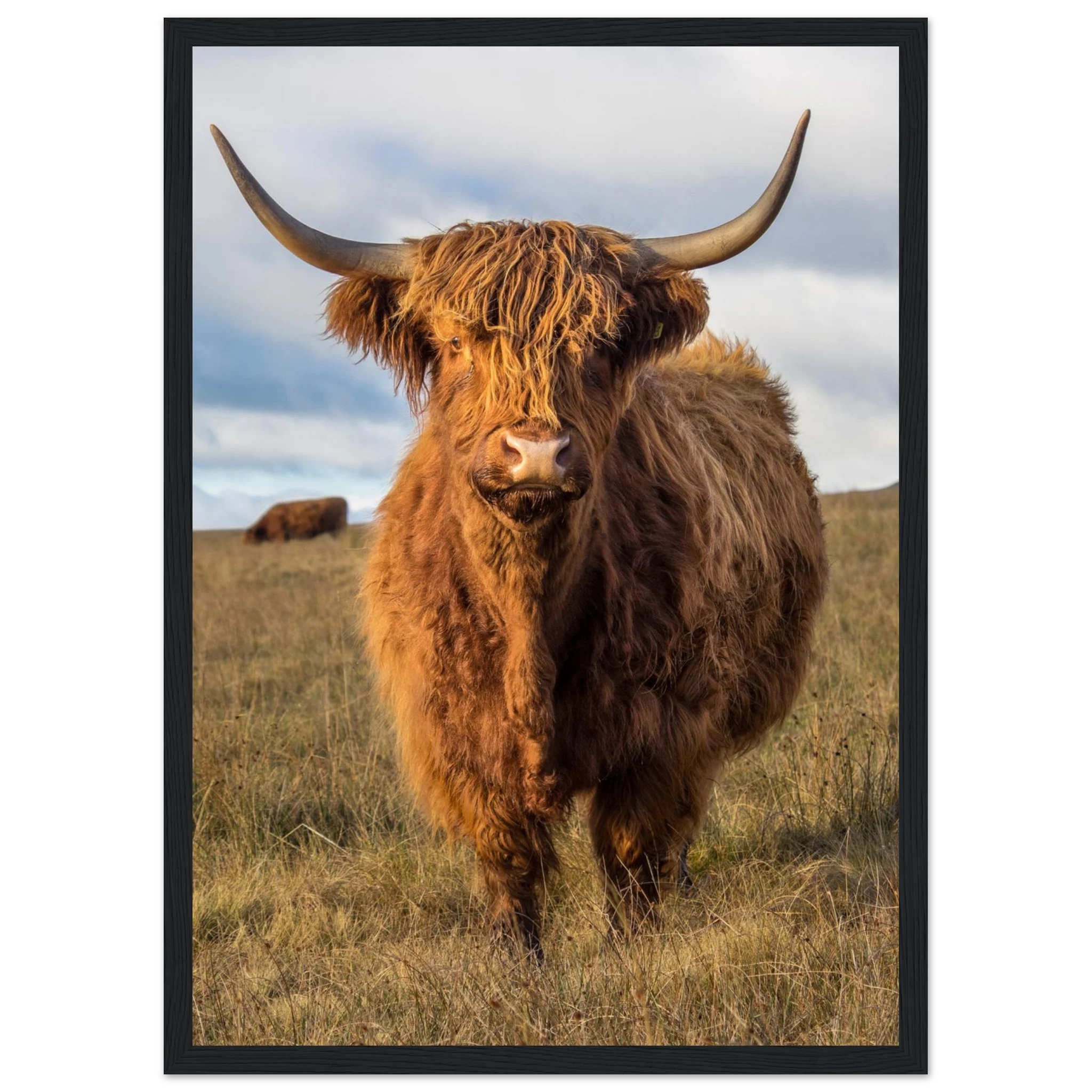 e2cf11cd-8c9a-45c4-a88d-1a4428871d3b