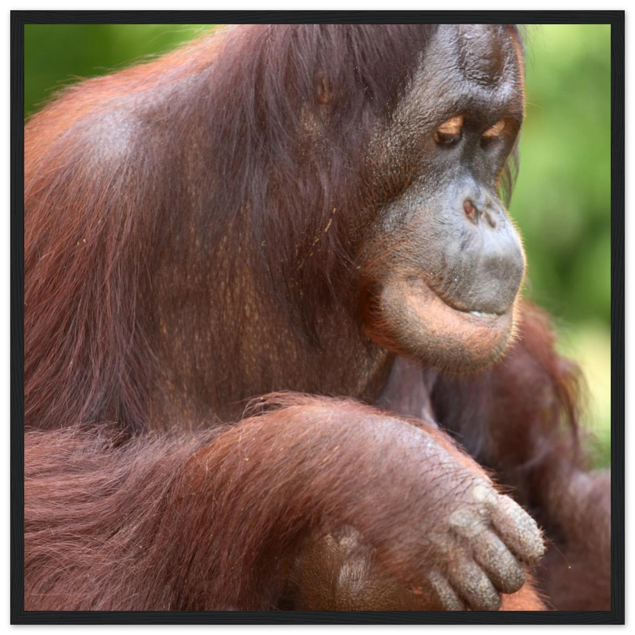 e2ec3b59-ff05-431c-a3c8-b7528f6c818b