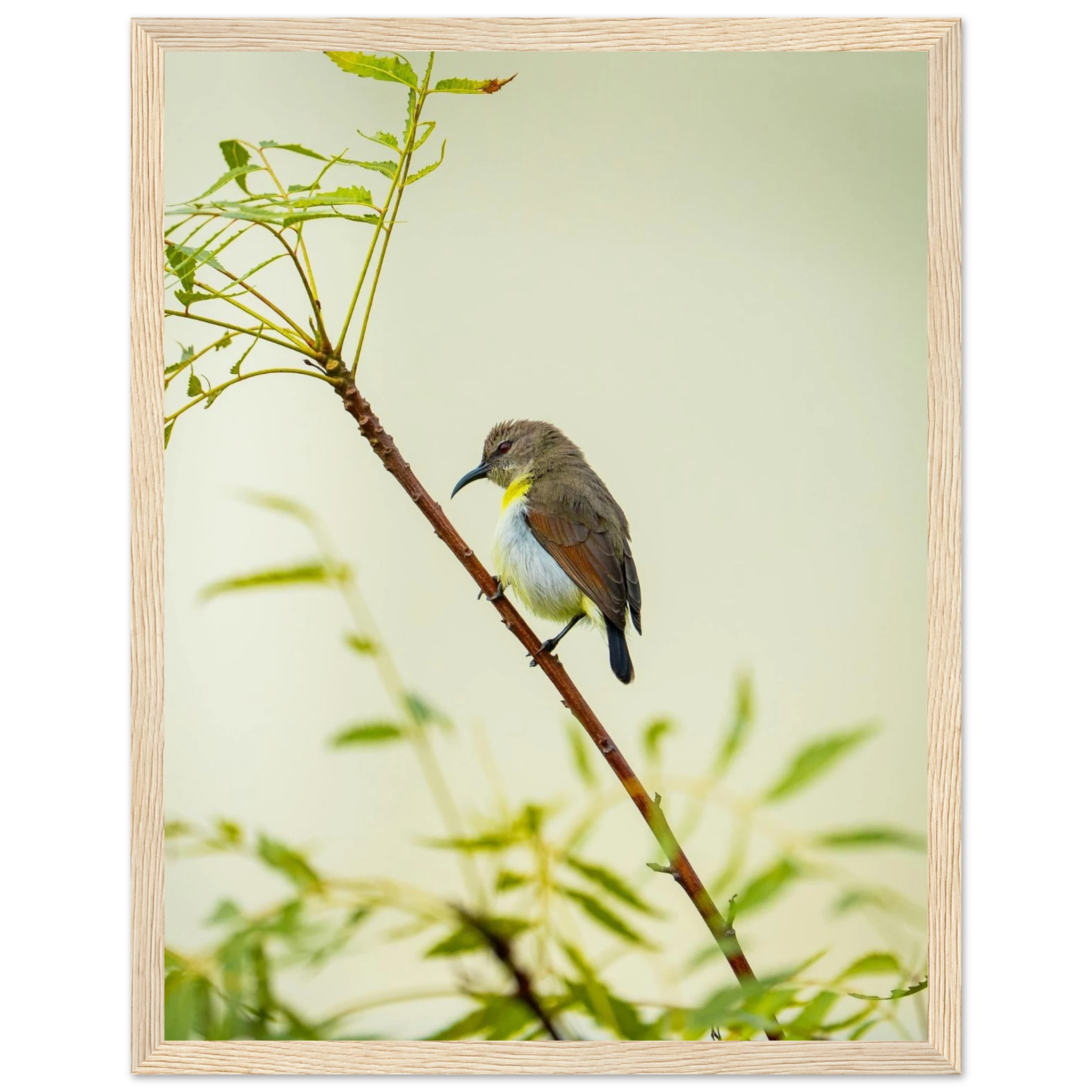 e3253d62-9878-48fa-8c9e-3d80e884ac84