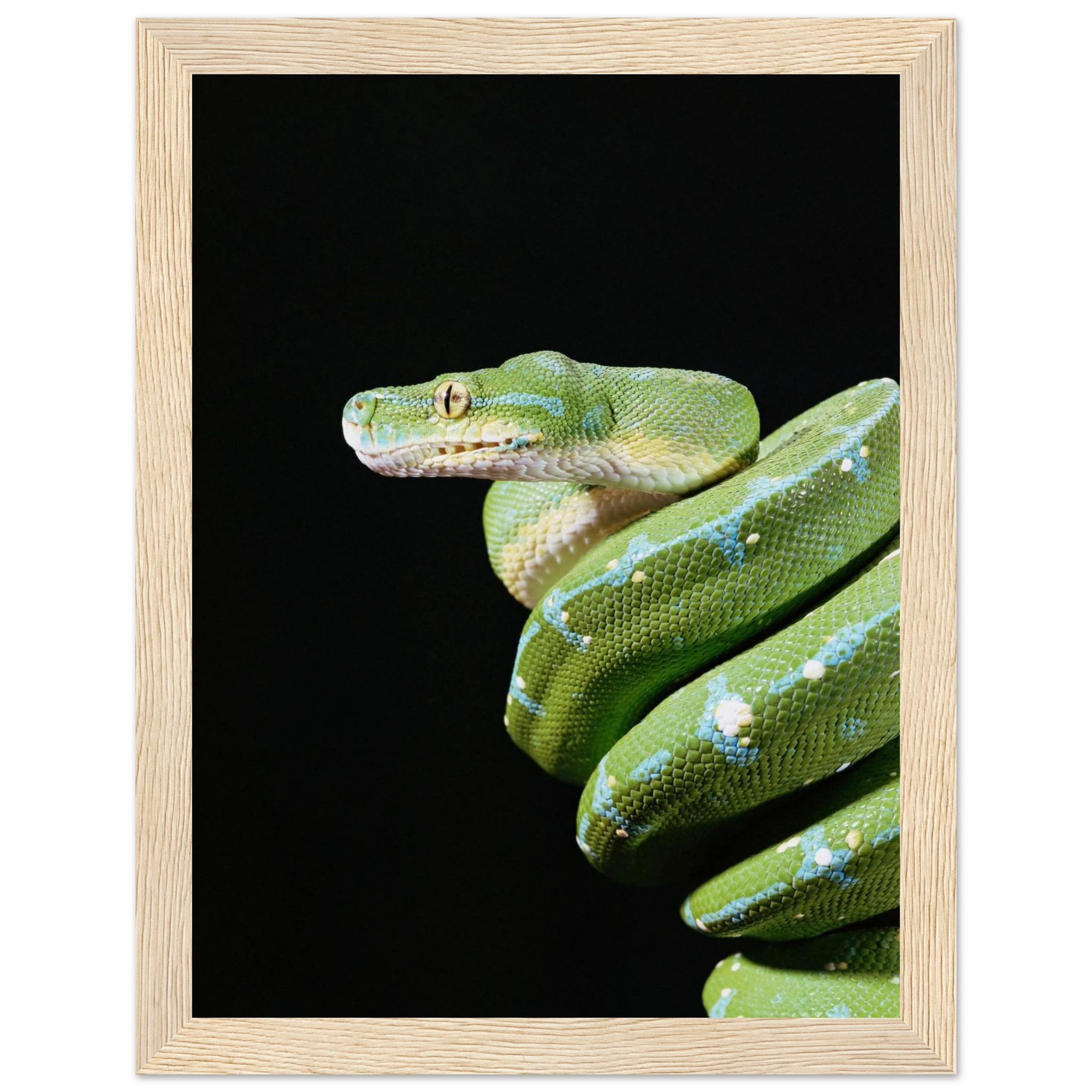 e325ebbc-1da2-49f7-ac2f-102701645436