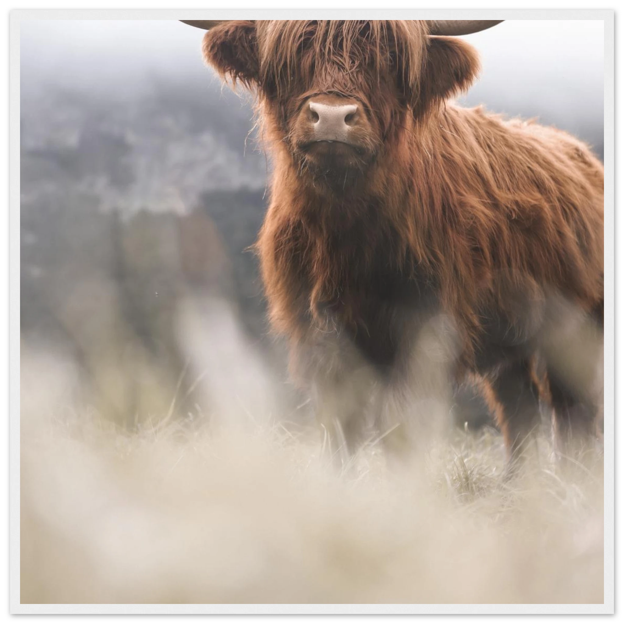 e33e9e15-aed6-4918-a27c-80cca400d0a6