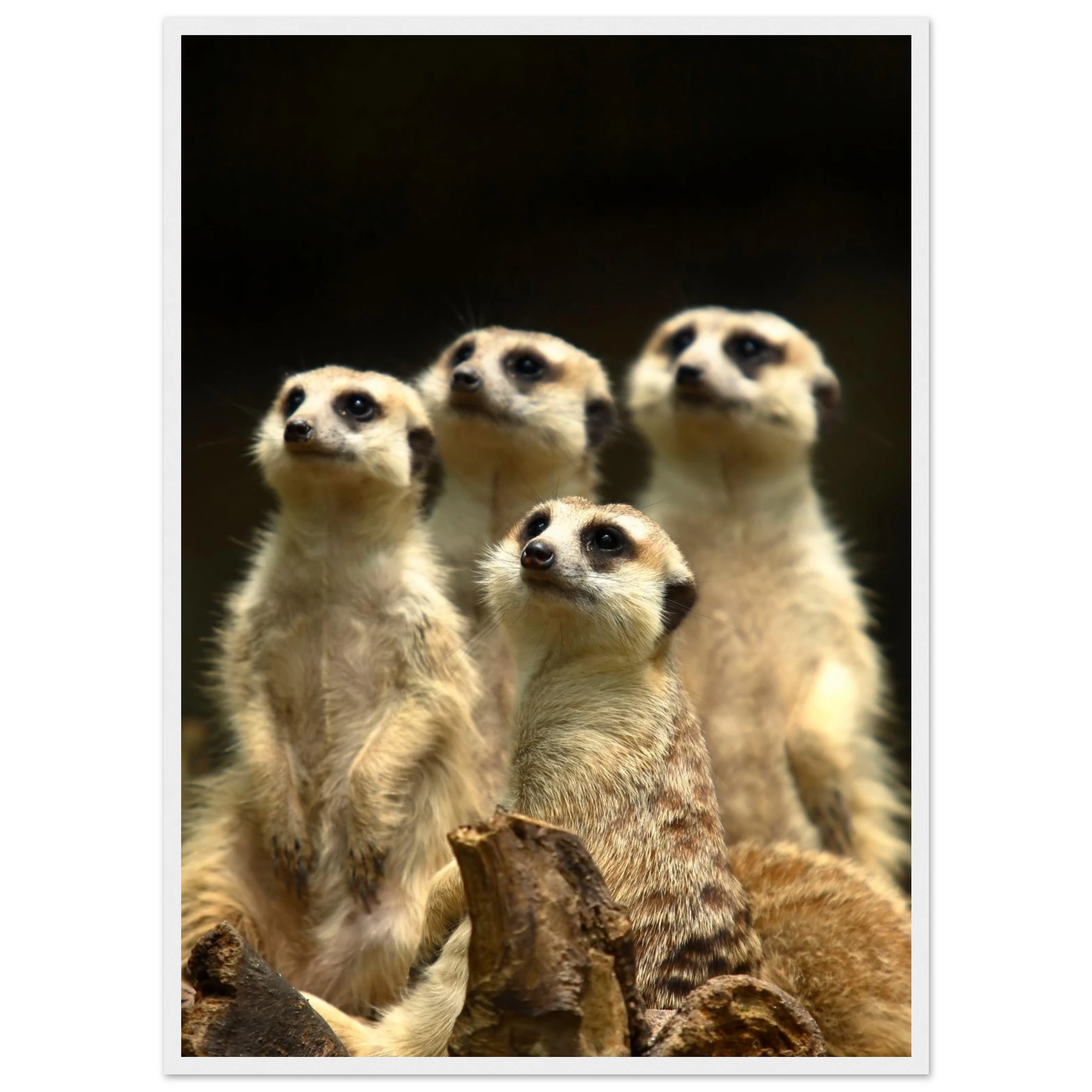 e36d6ae5-2dec-4c23-9df7-5ea8e5ac7ae0