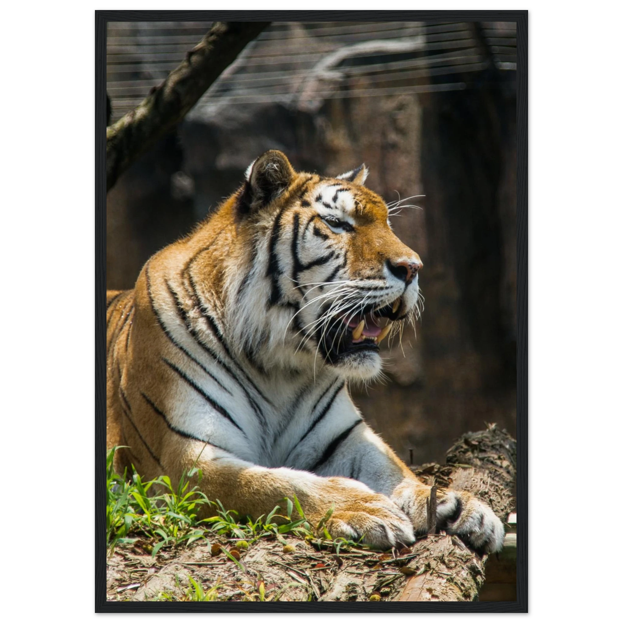 e376d9c5-bb3f-474d-8b21-555ec2b417a6